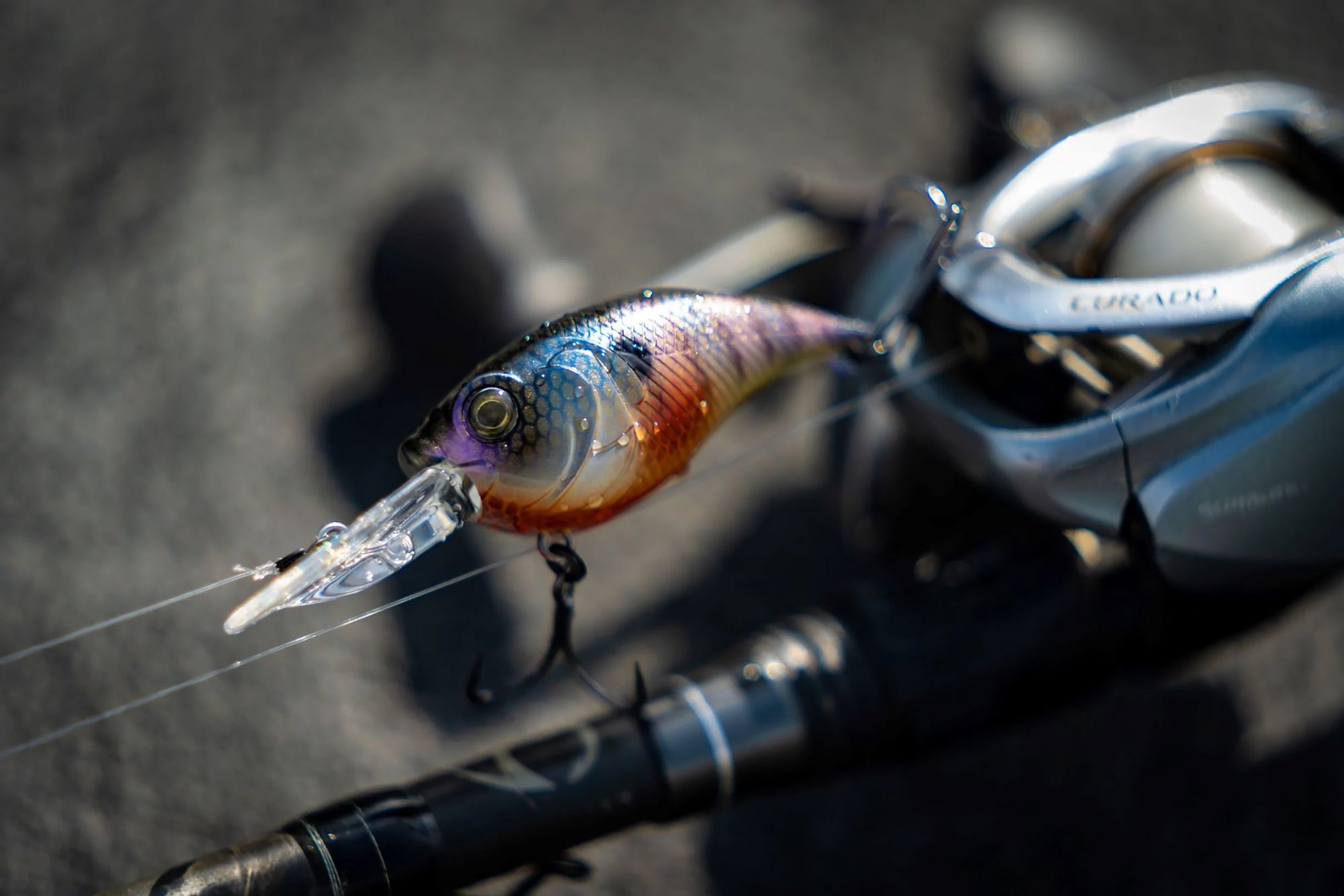 6th Sense Curve 55 Crankbait product image