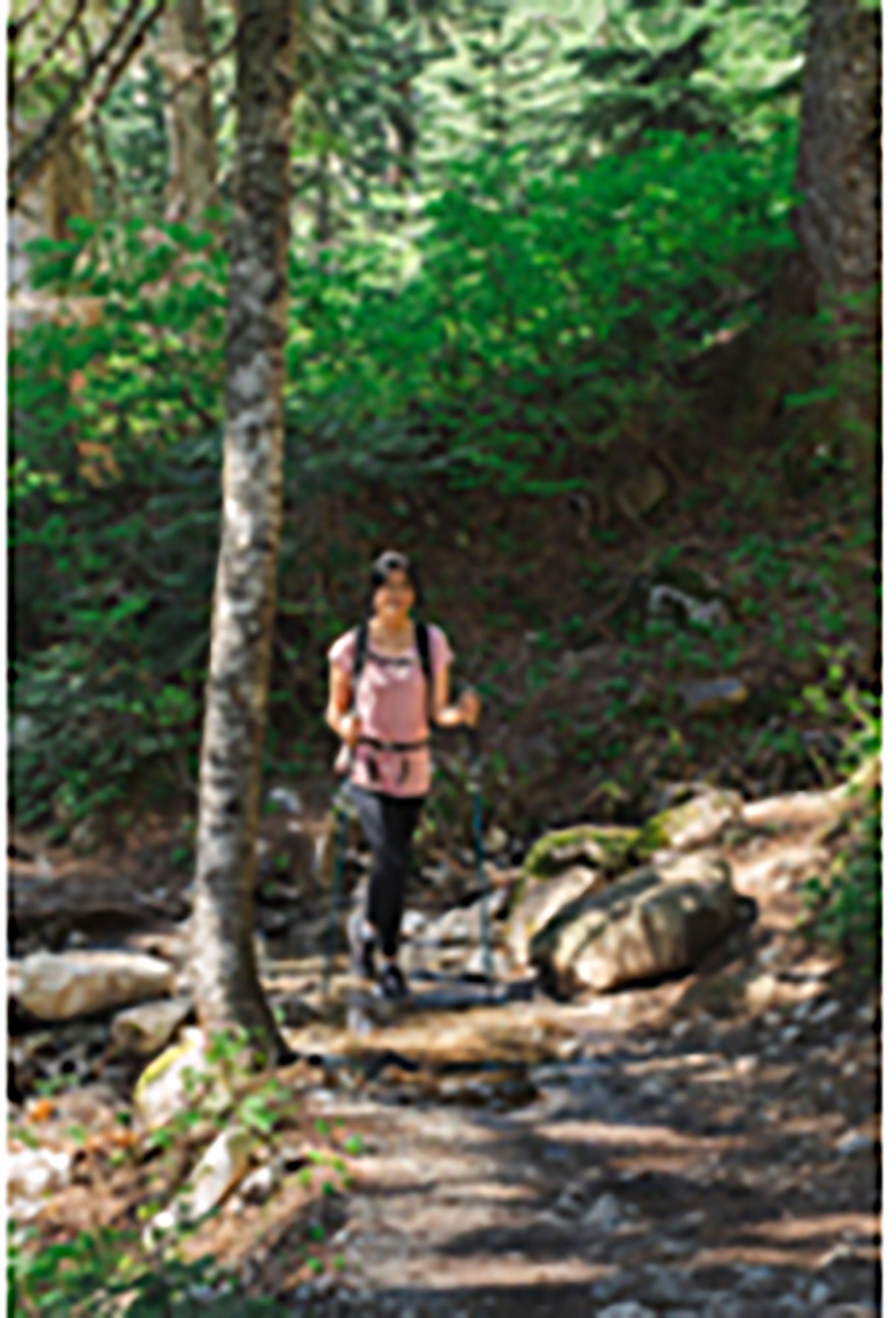 Cascade Mountain Tech Cork Folding Trekking Poles product image