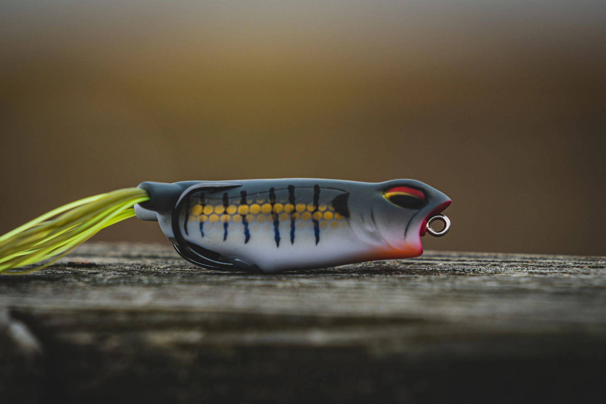 6th Sense Vega Frog product image