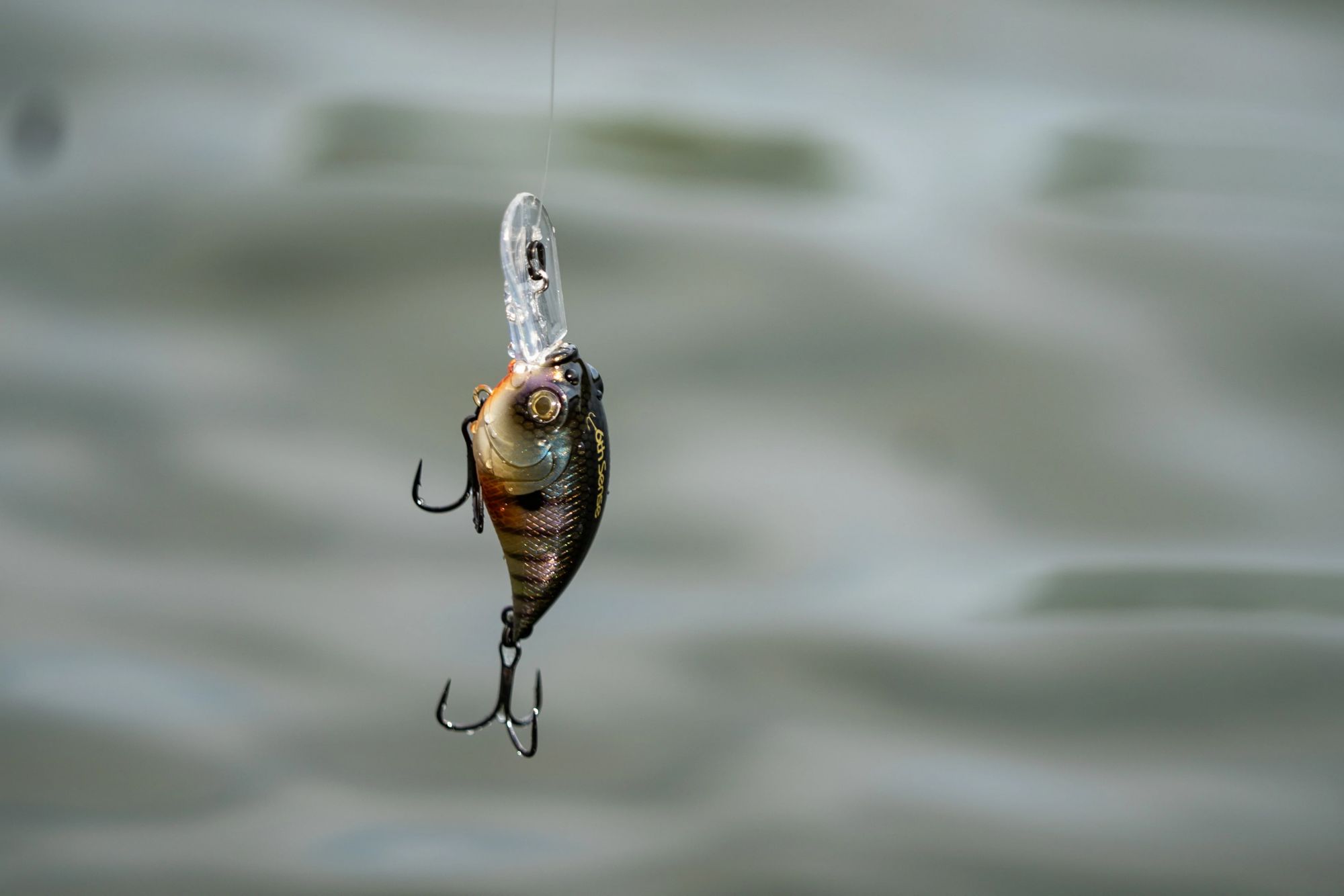 6th Sense Curve 55 Crankbait product image