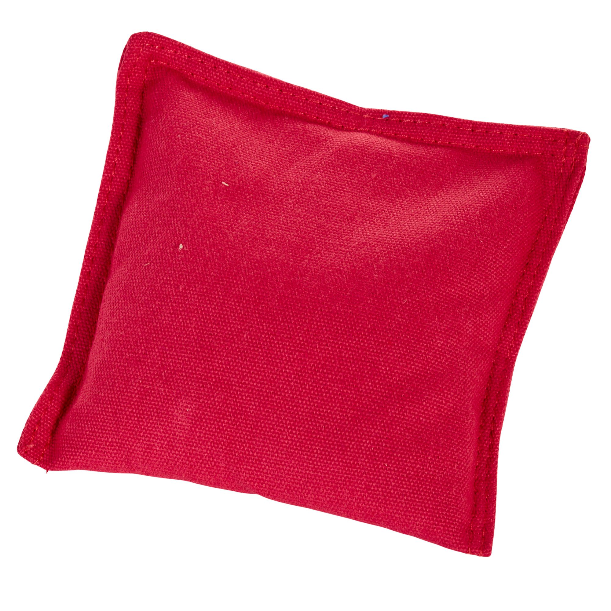 DSG 2x4 Cornhole Board product image