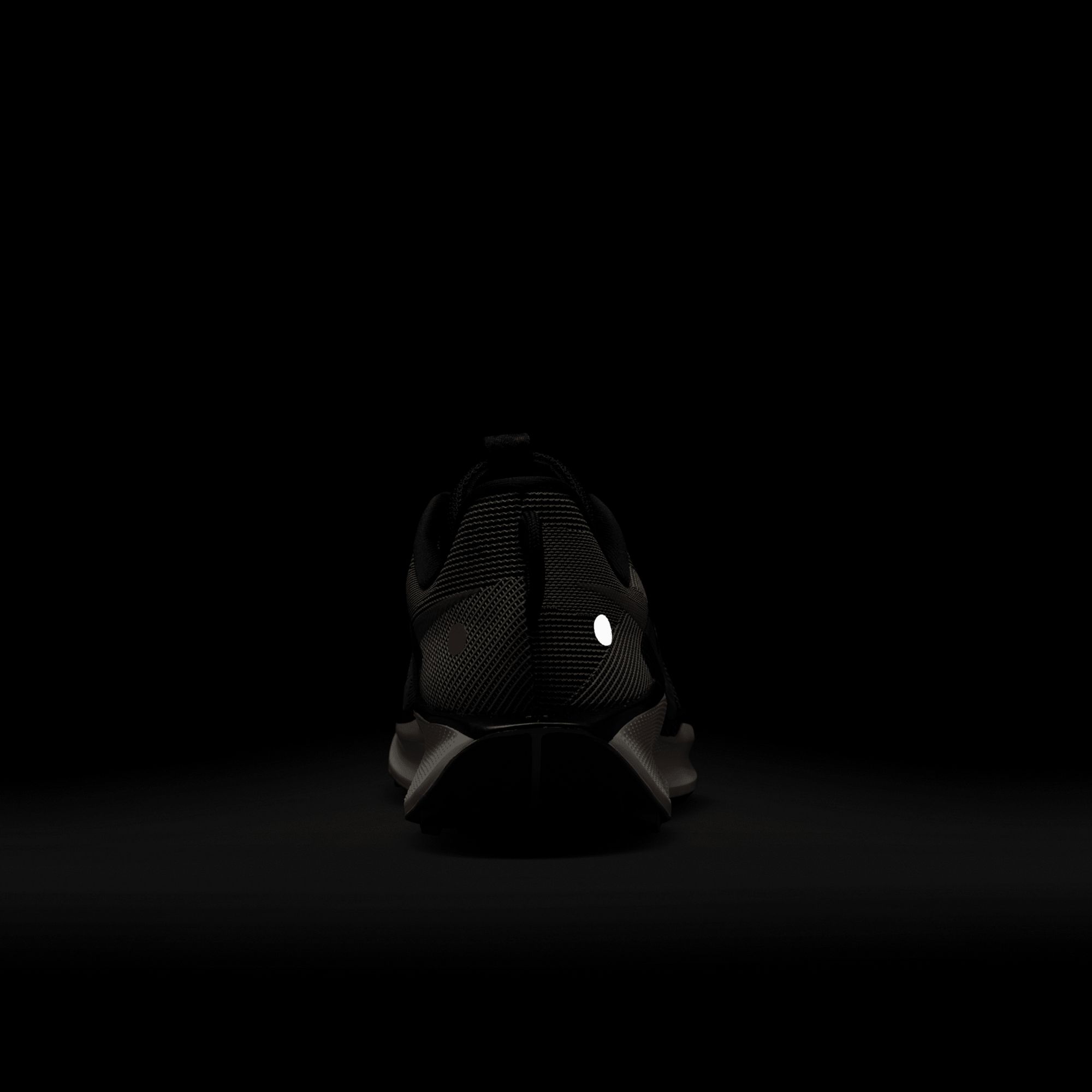 Nike Men's Pegasus Trail 5 Running Shoes product image