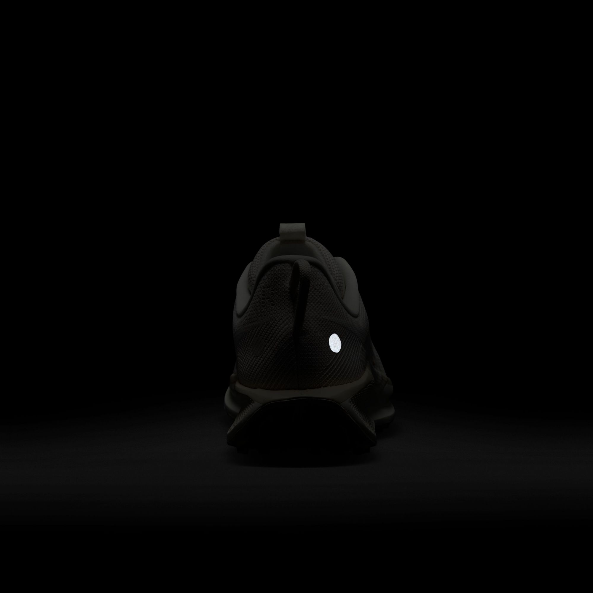 Nike Women's Pegasus Trail 5 Running Shoes product image