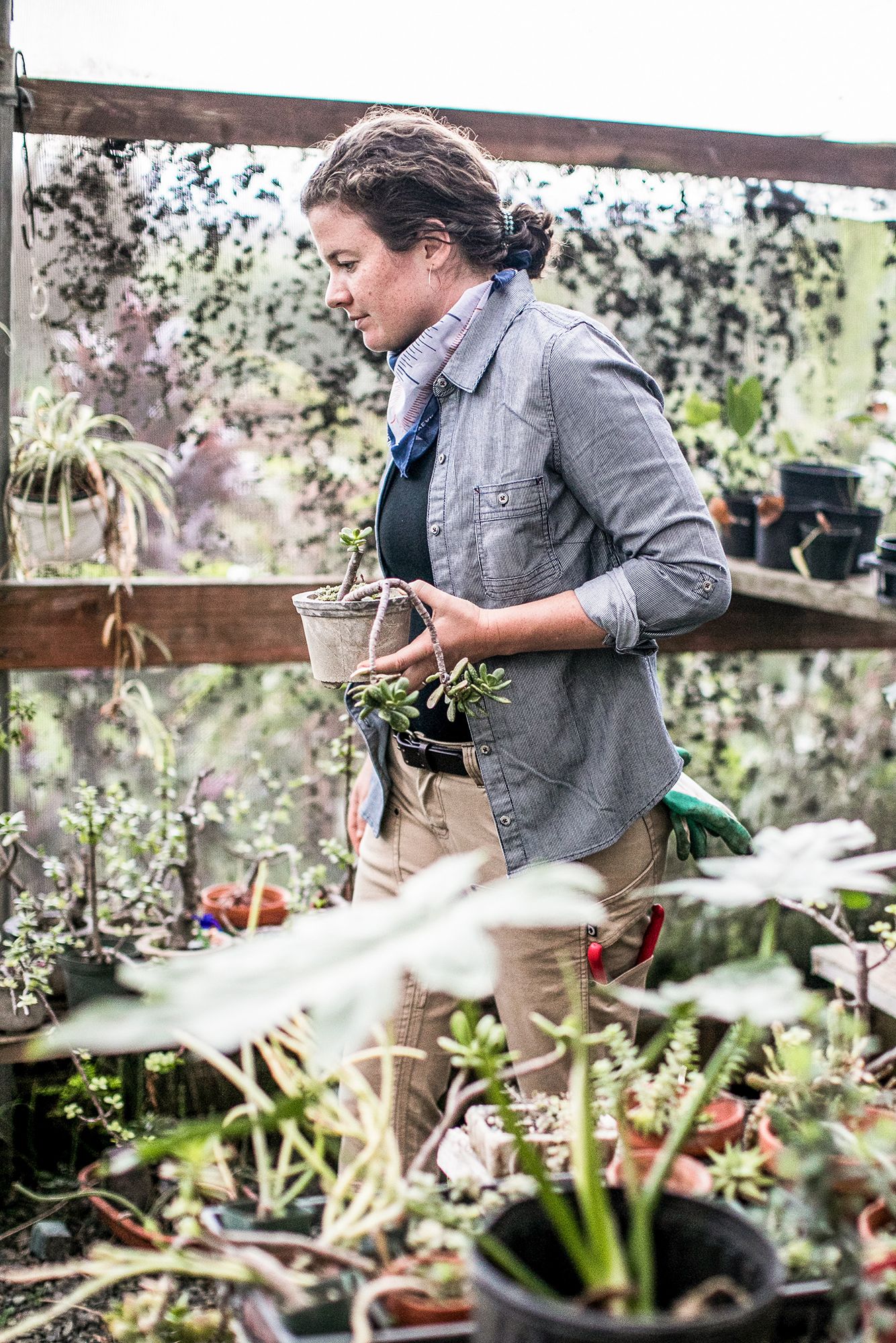 Dovetail Women's Givens Work Flannel Shirt product image
