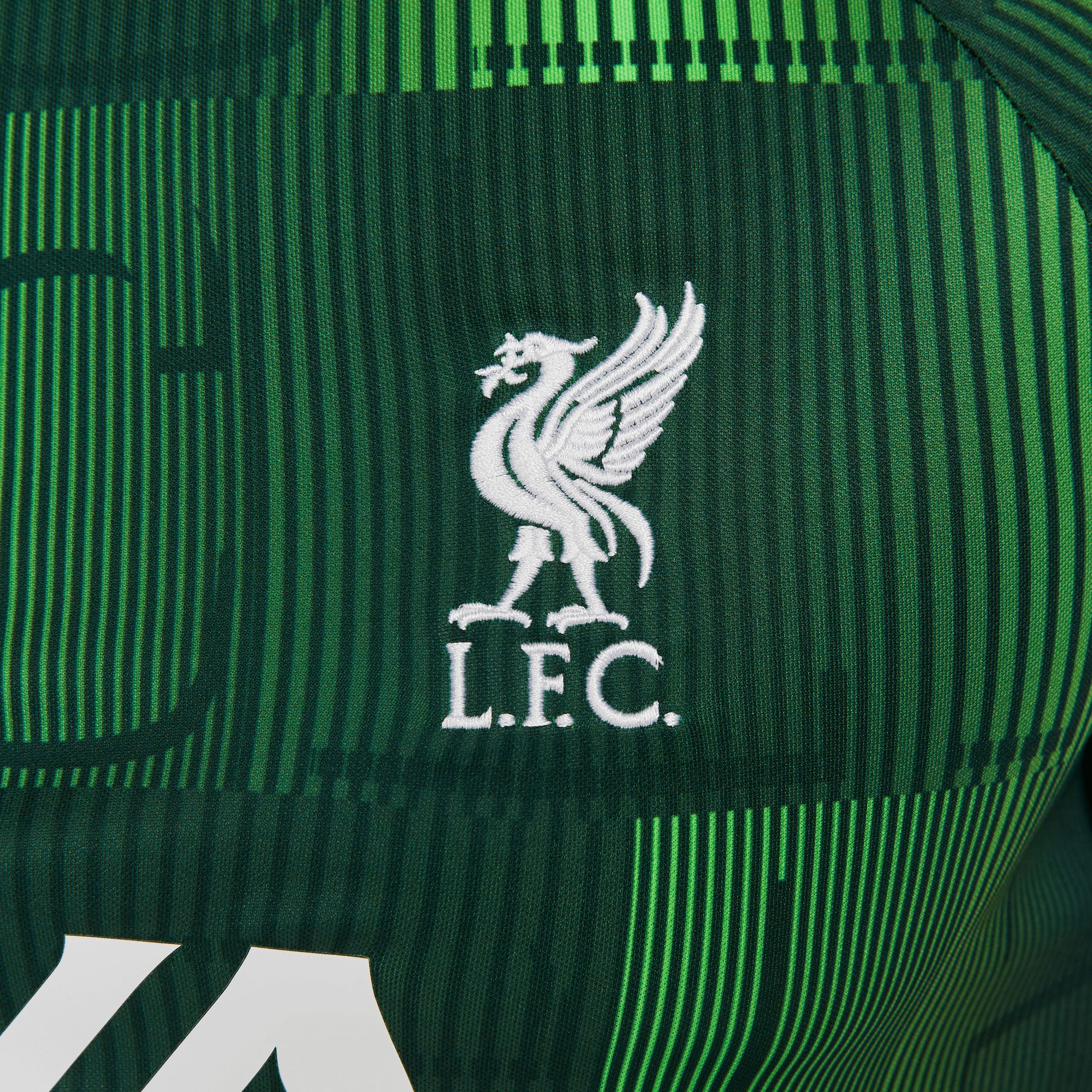 Nike Liverpool FC 2023 Green Prematch Jersey