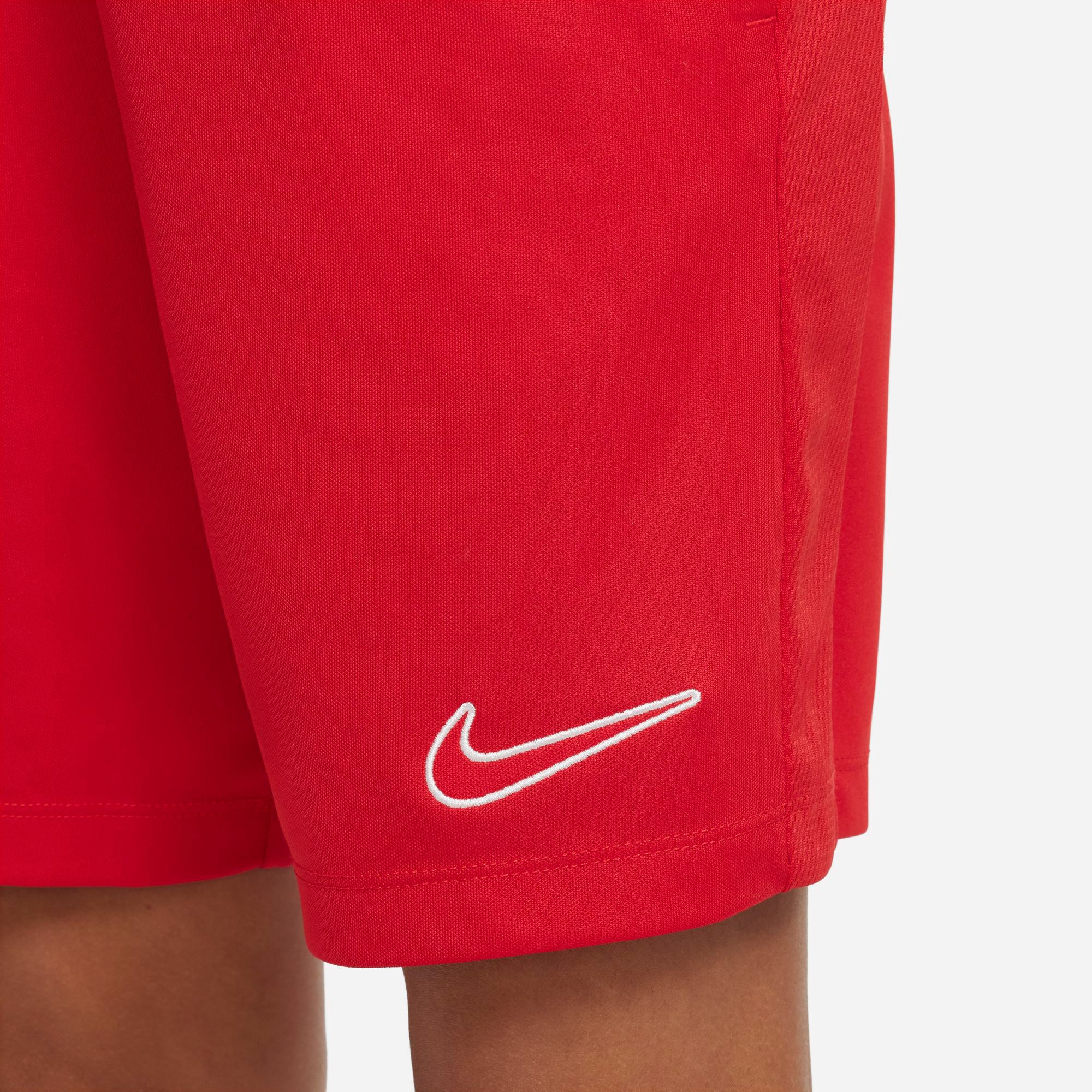 Nike Big Kids' Dri-FIT Trophy Training Shorts product image