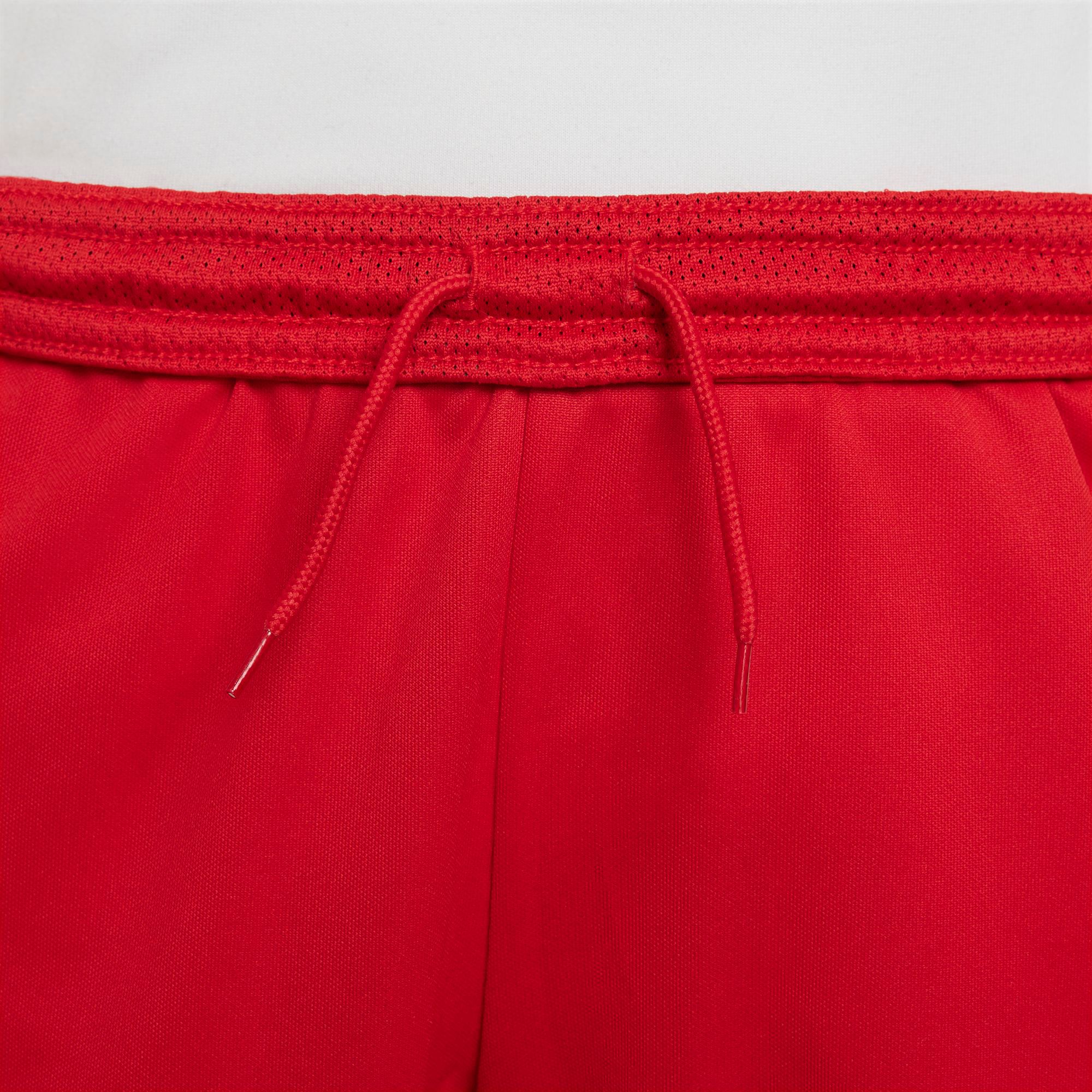 Nike Big Kids' Dri-FIT Trophy Training Shorts product image