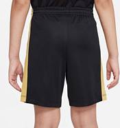 Nike Boys' Dri-FIT Academy23 Shorts product image