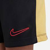 Nike Boys' Dri-FIT Academy23 Shorts product image