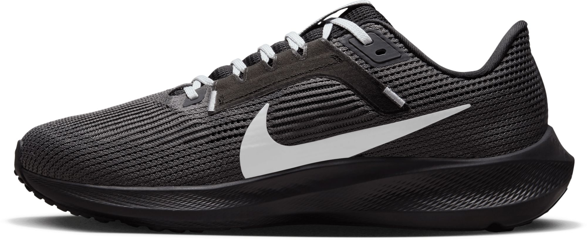 Nike best sale pegasus raiders