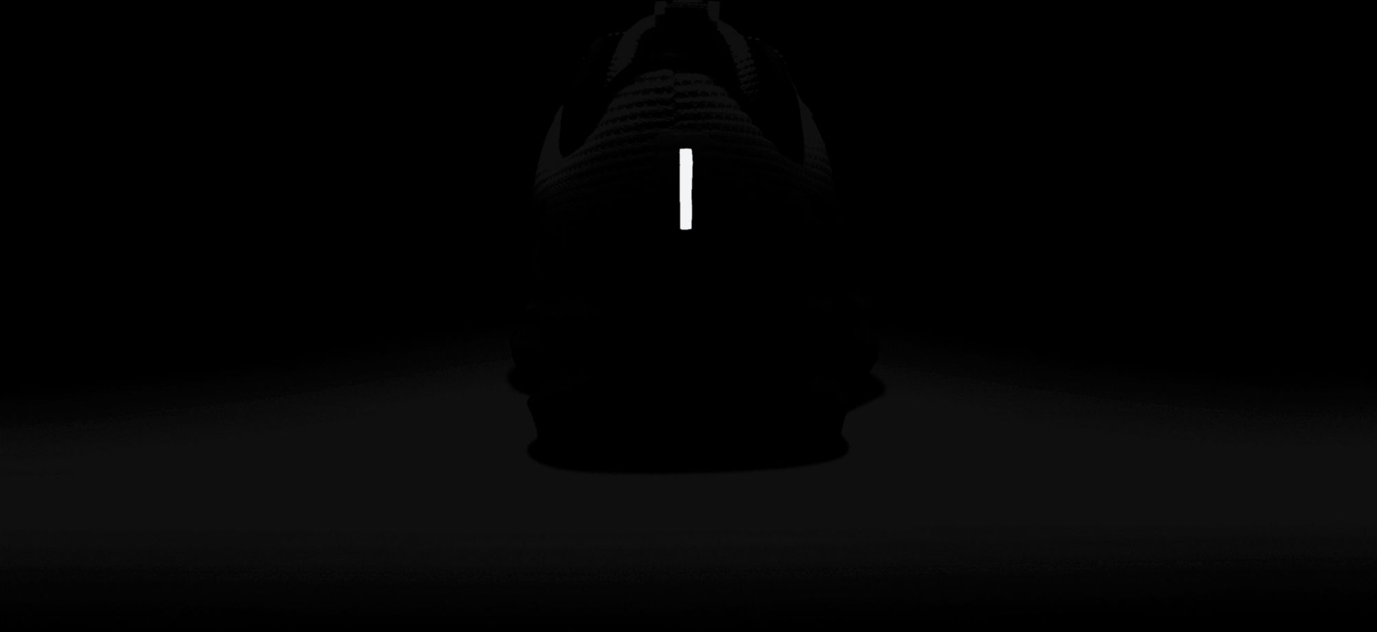 Nike Pegasus 40 Oregon State Running Shoes product image