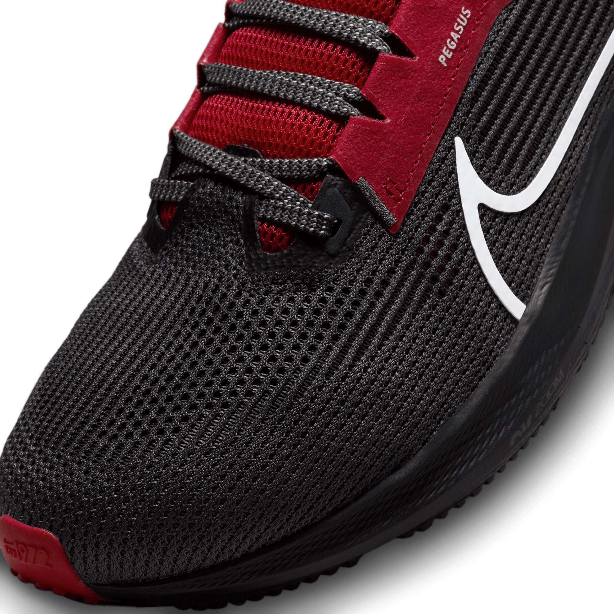 dicks sporting goods nike pegasus