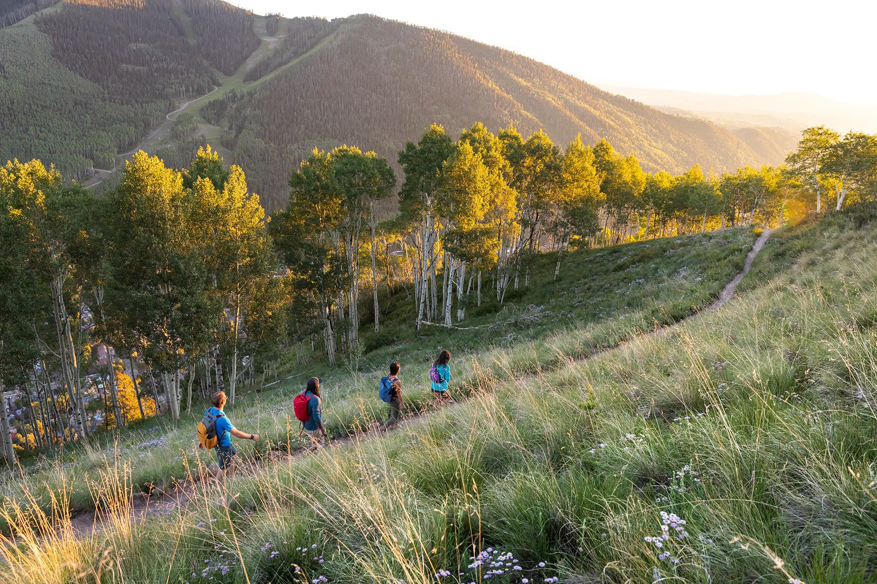 Osprey Daylite Sling Pack product image