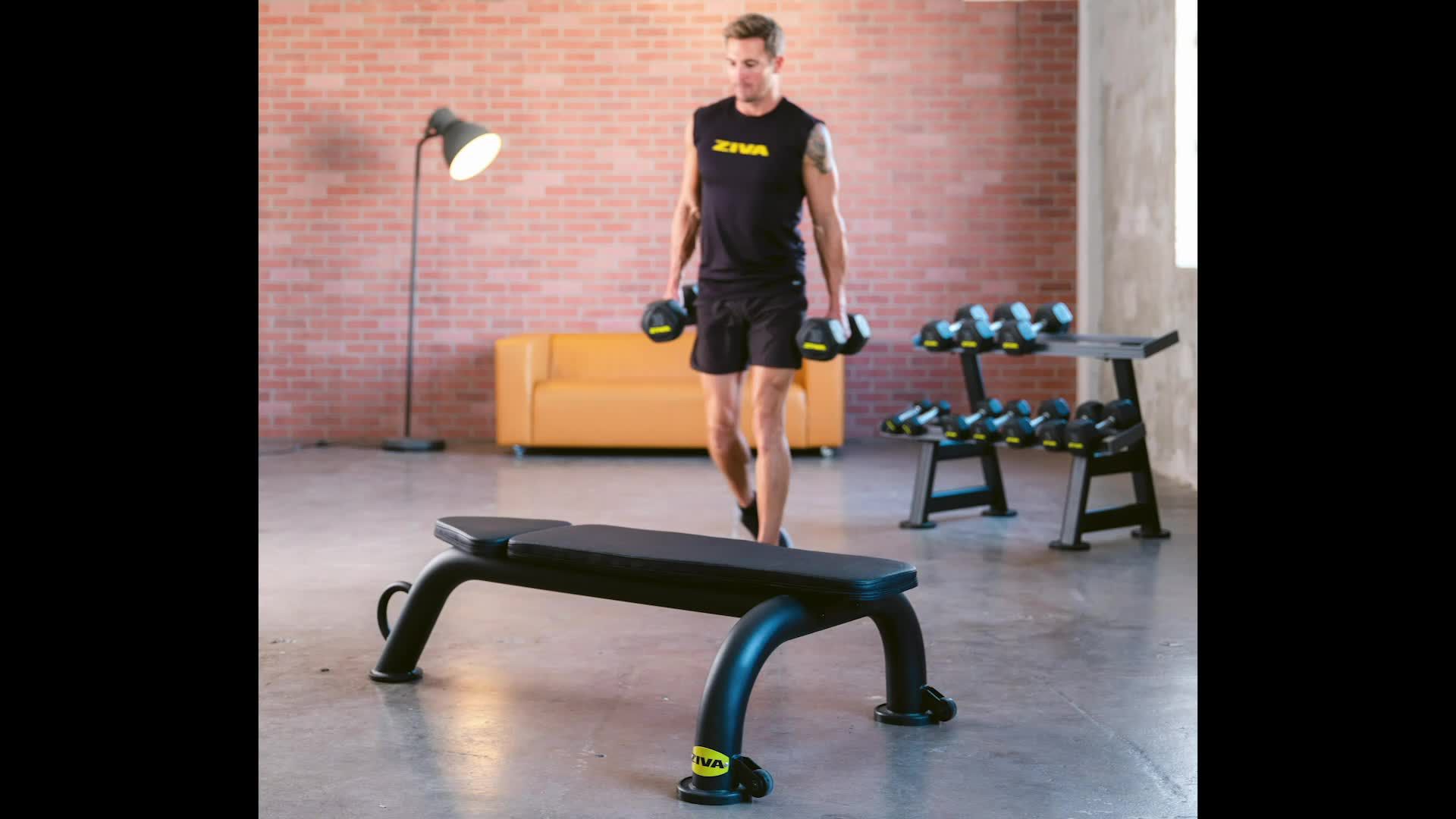 ZIVA Commercial Flat Bench product