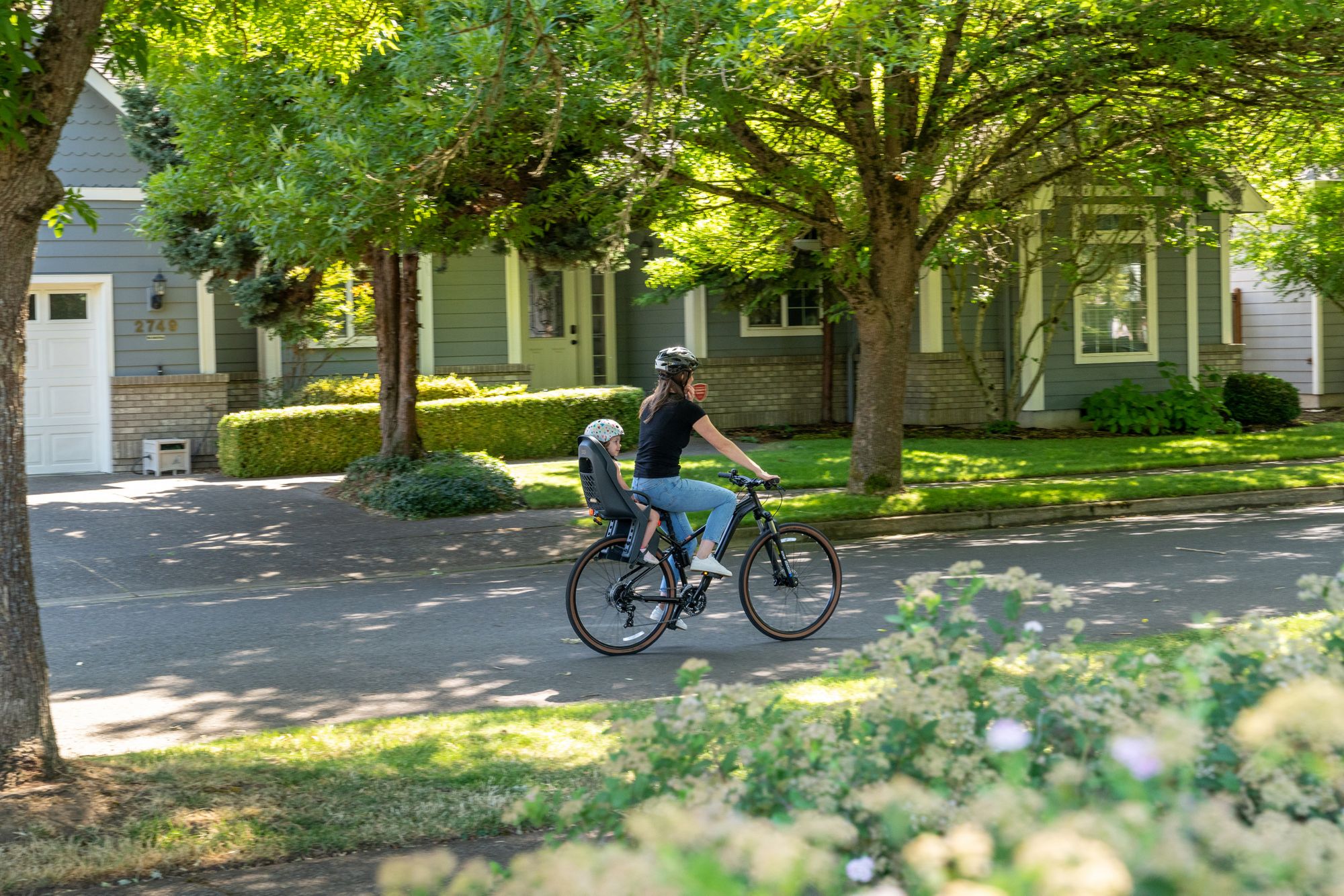 Burley Dash FM product image