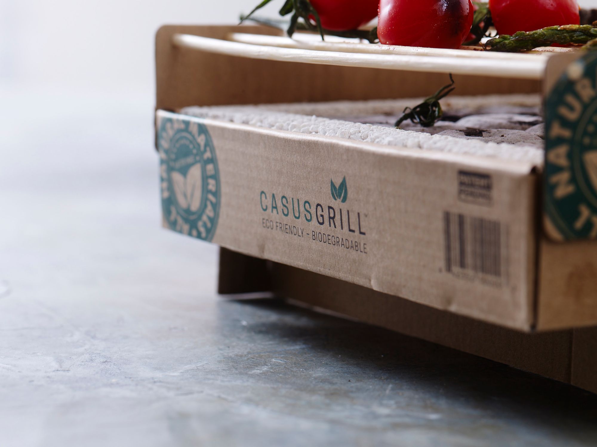 CasusGrill Biodegradable Single-Use Grill product image