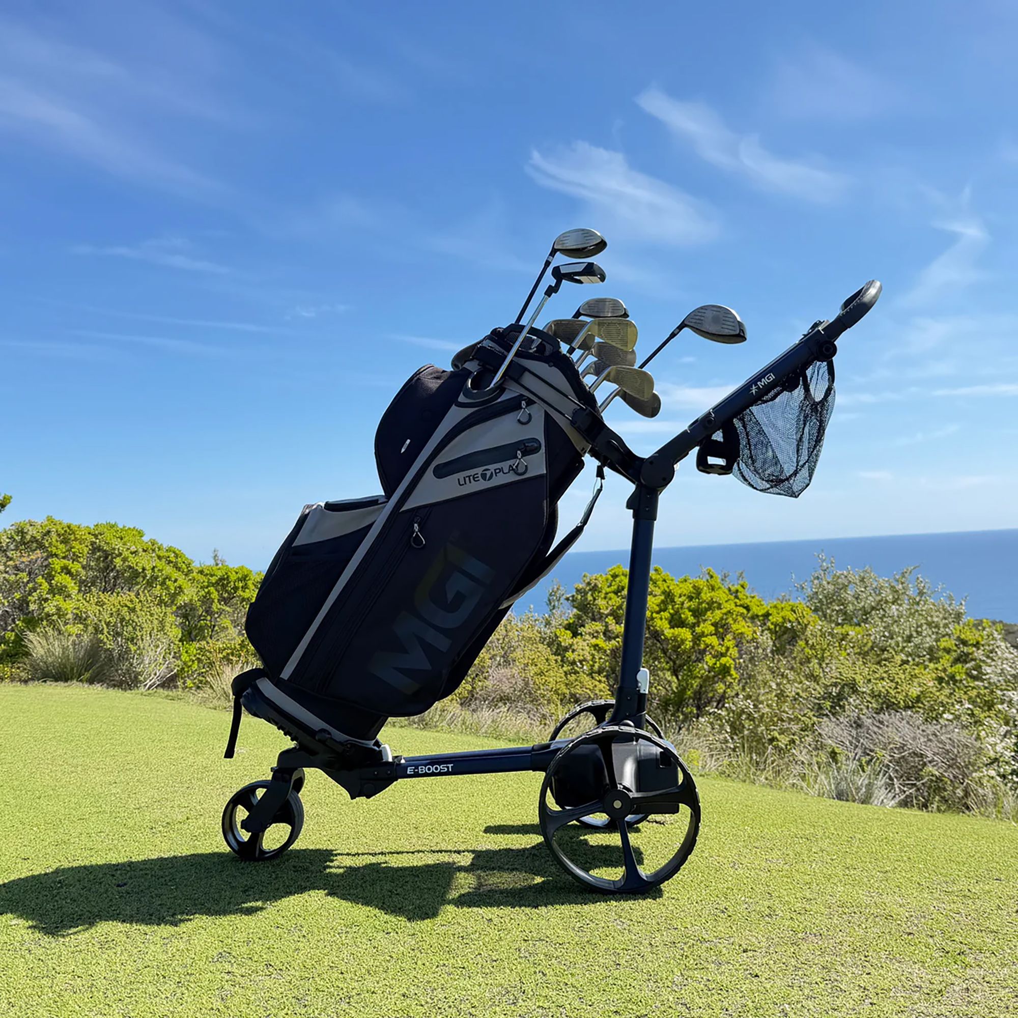 MGI E-BOOST Push Cart product image