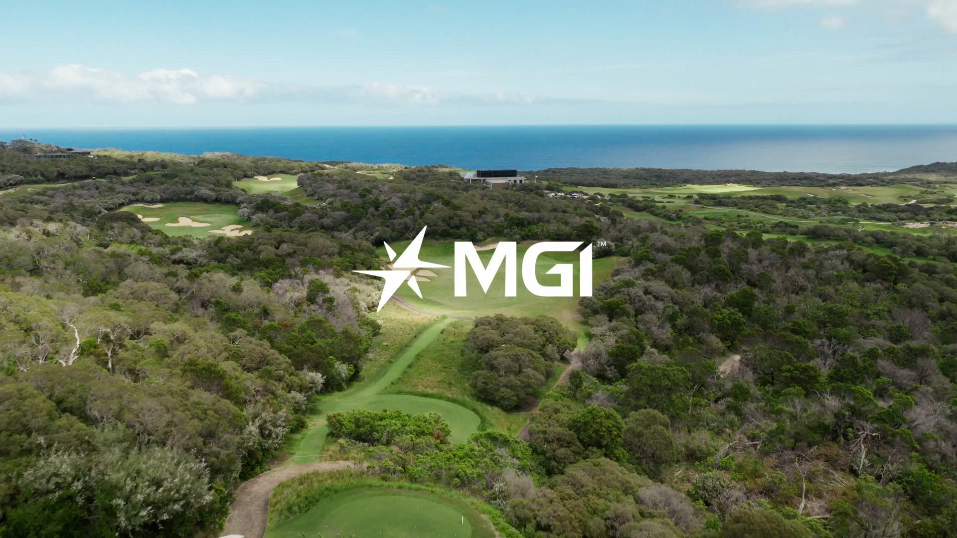 MGI E-BOOST Push Cart product