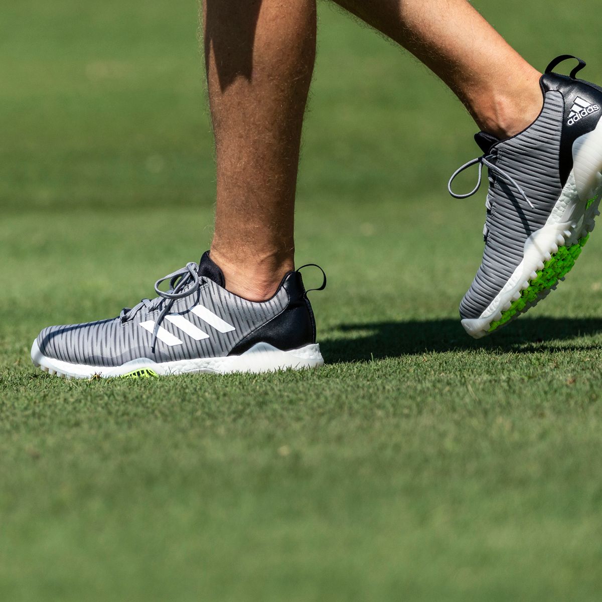 men's codechaos spikeless golf shoe