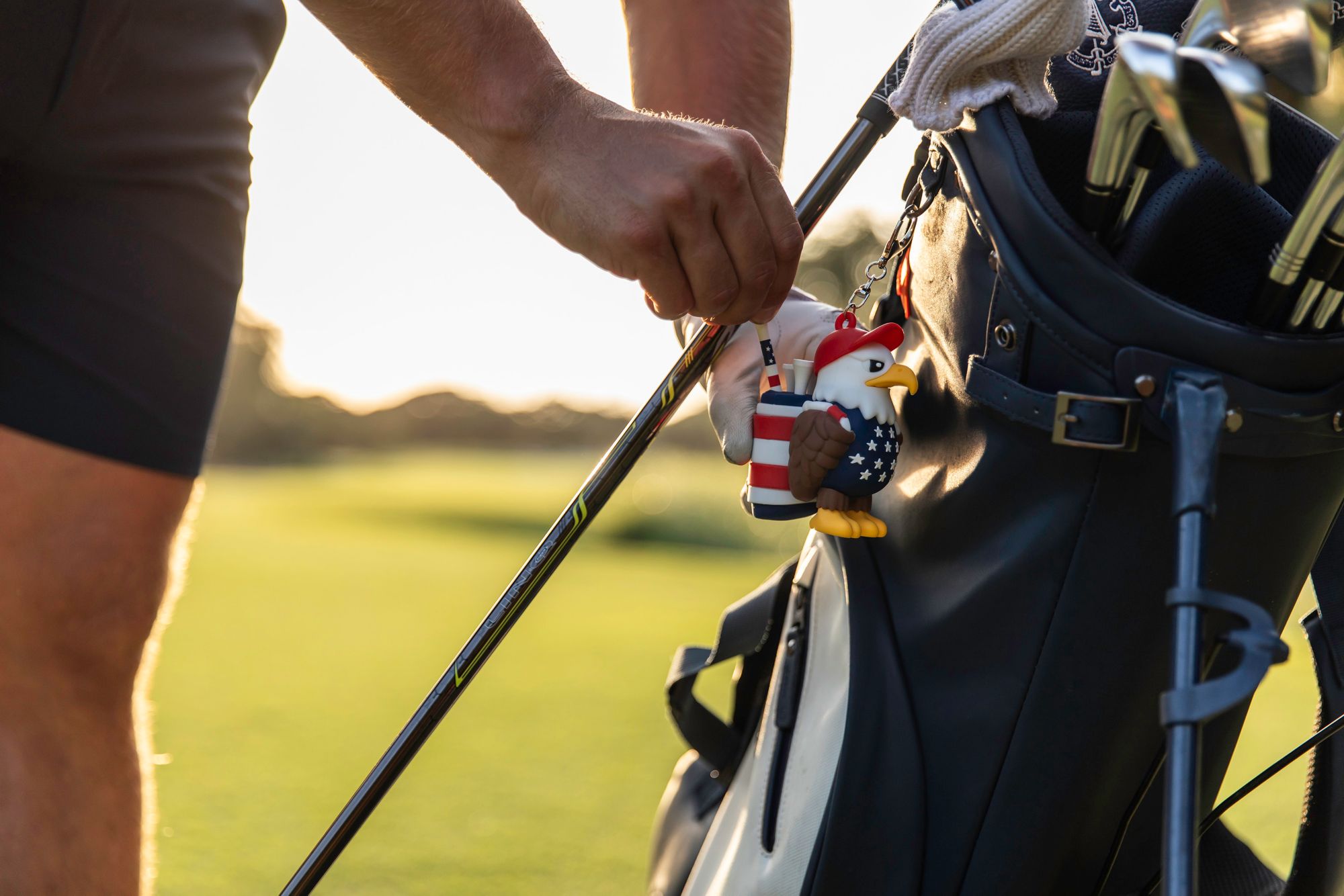 VannyVee Sports Eagle Caddy product image