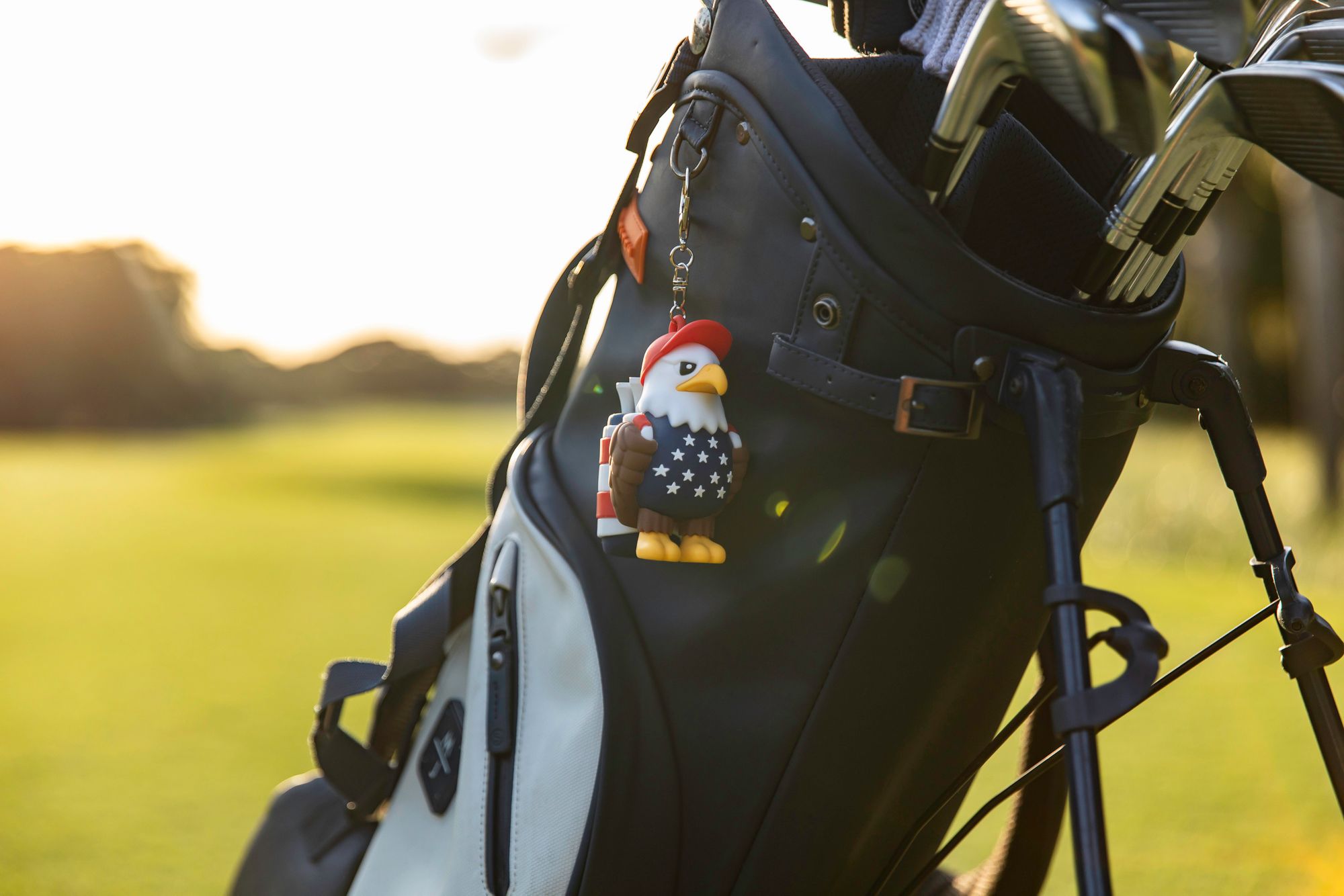 VannyVee Sports Eagle Caddy product image
