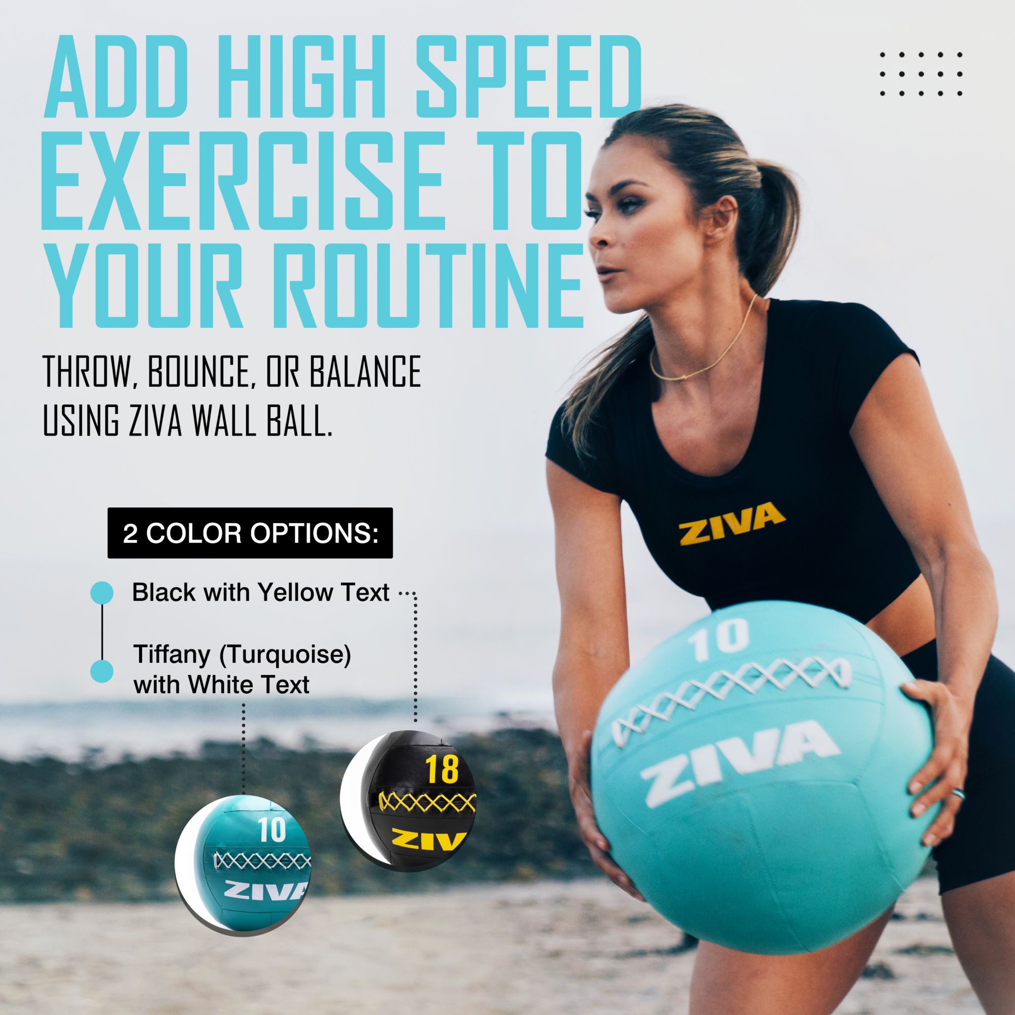 ZIVA Wall Ball product image