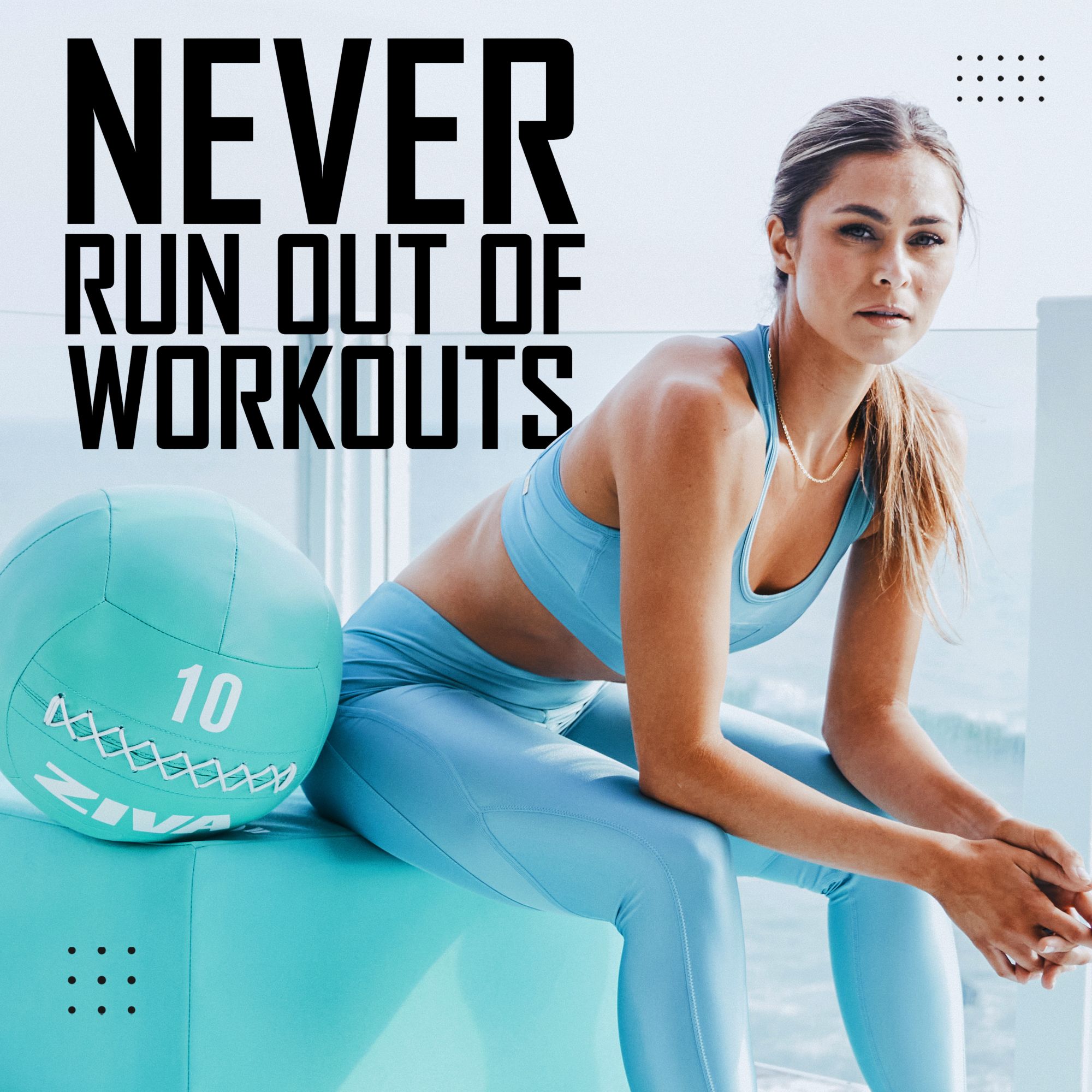 ZIVA Wall Ball product image