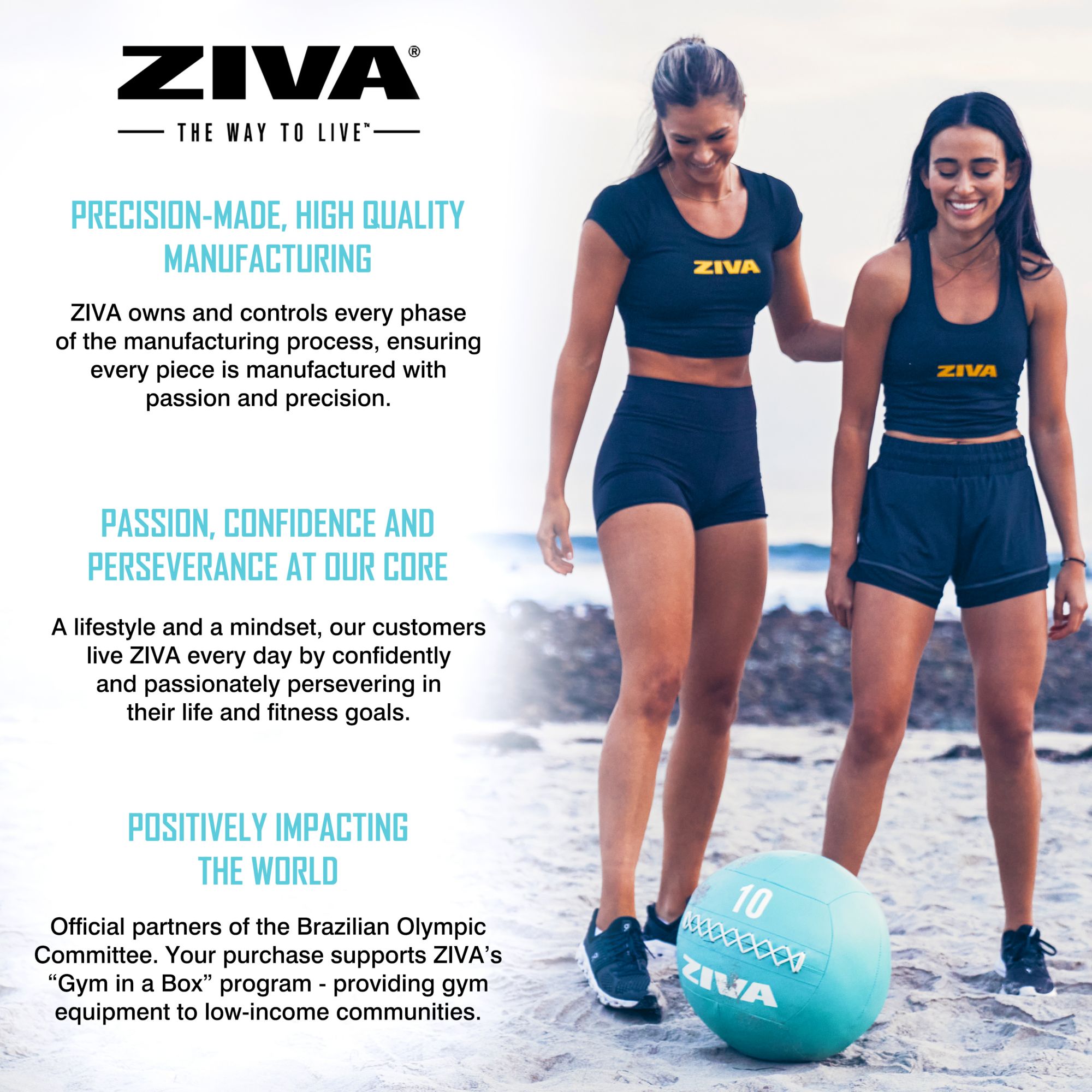 ZIVA Wall Ball product image