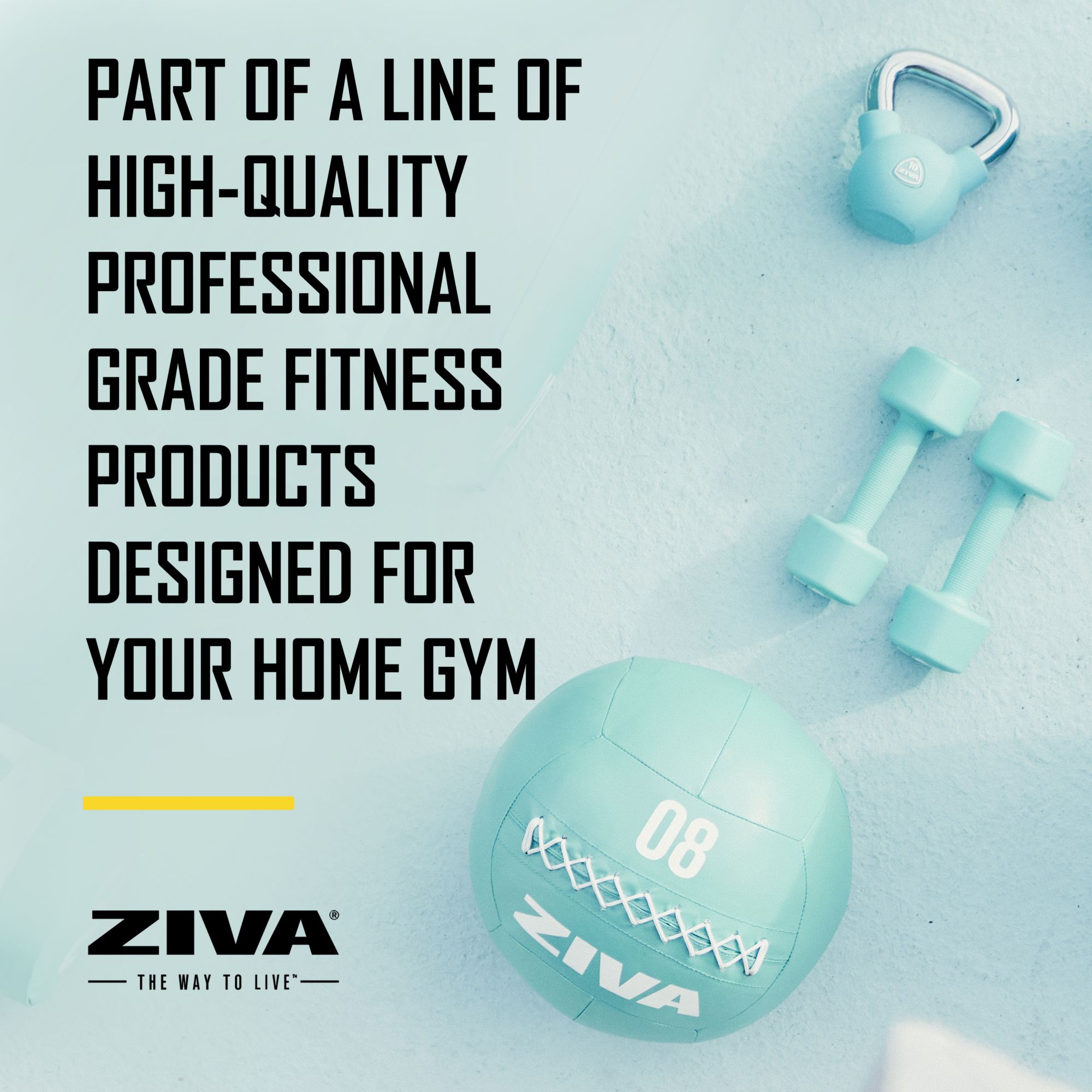 ZIVA Wall Ball product image