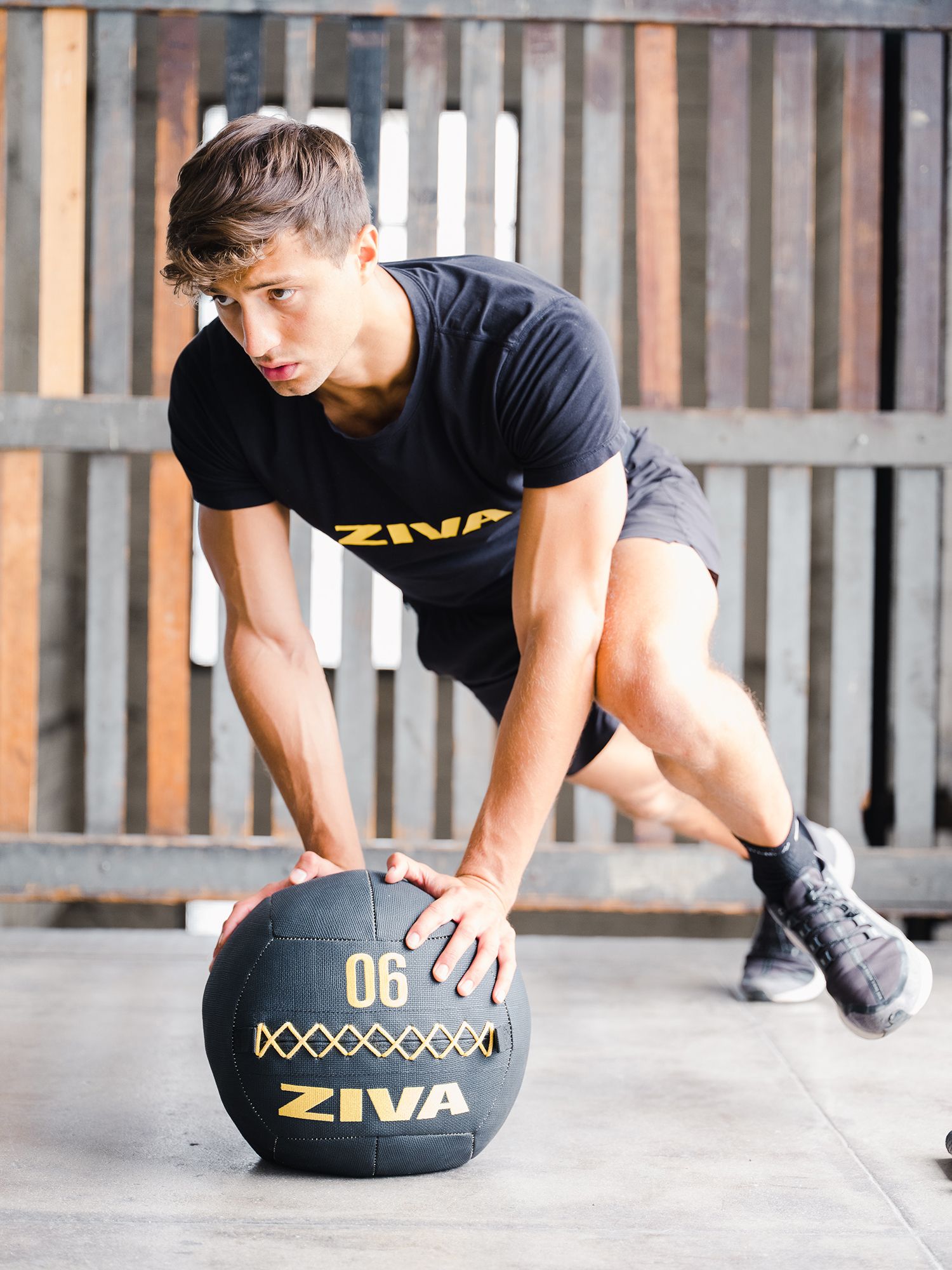 ZIVA Wall Ball product image