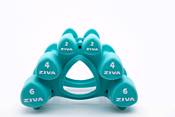 ZIVA Chic Wellness Workout Kit product image