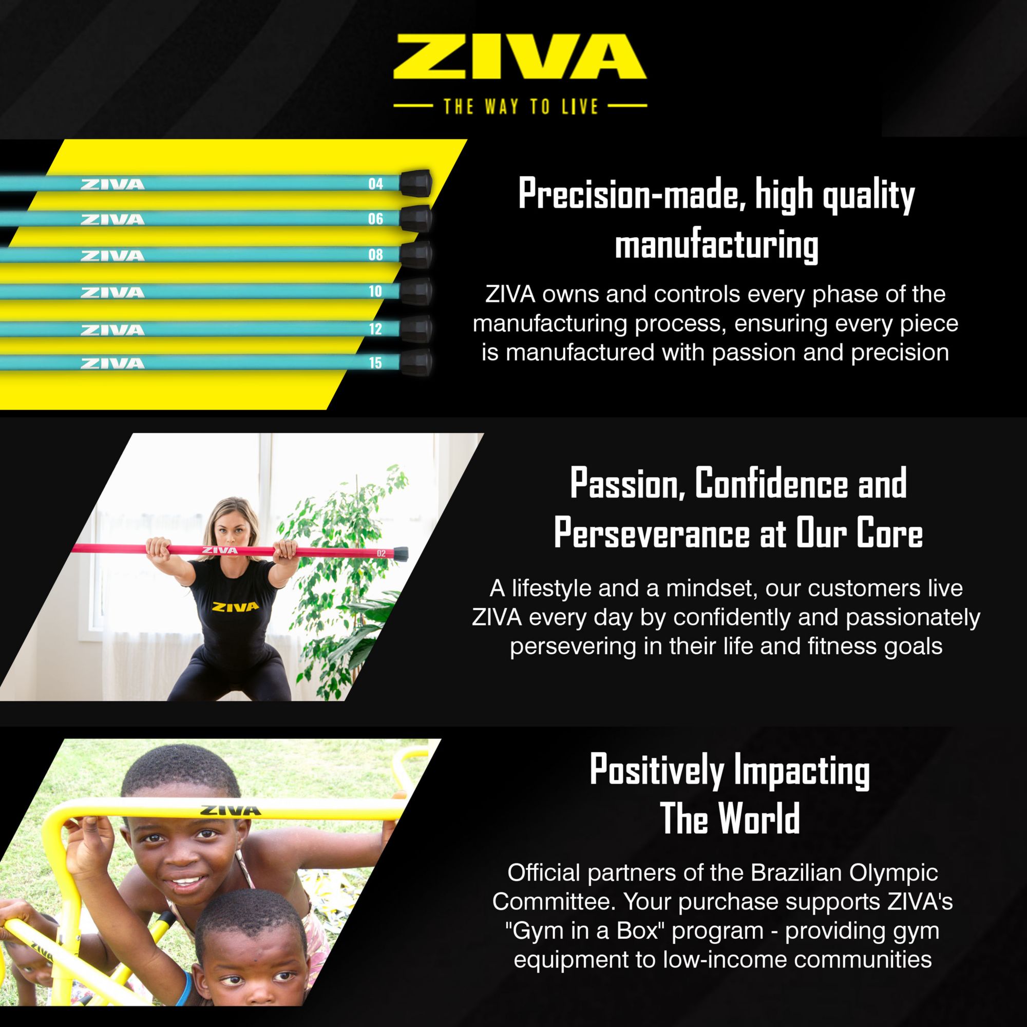 Ziva Chic Weighted Bar product image