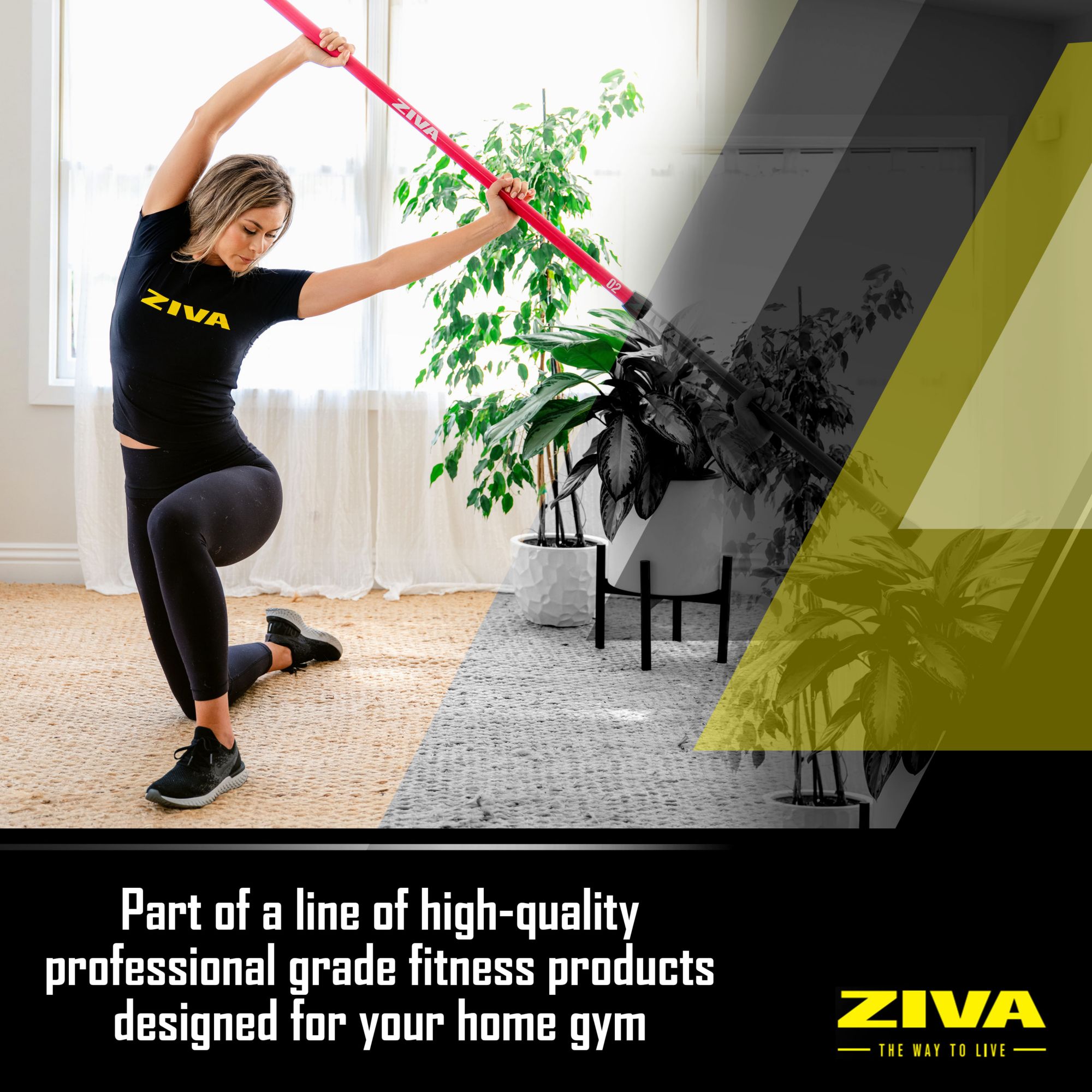 Ziva Chic Weighted Bar product image