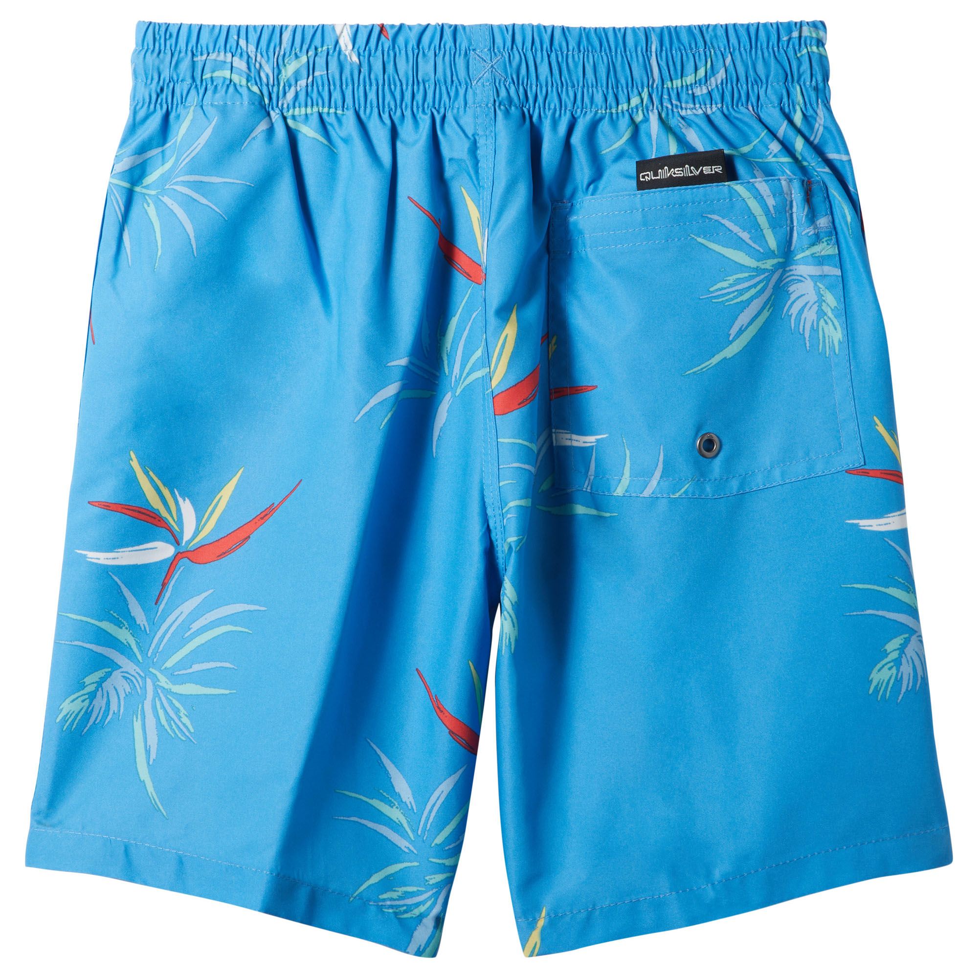 Quiksilver Youth Everyday Mix Volley Shorts