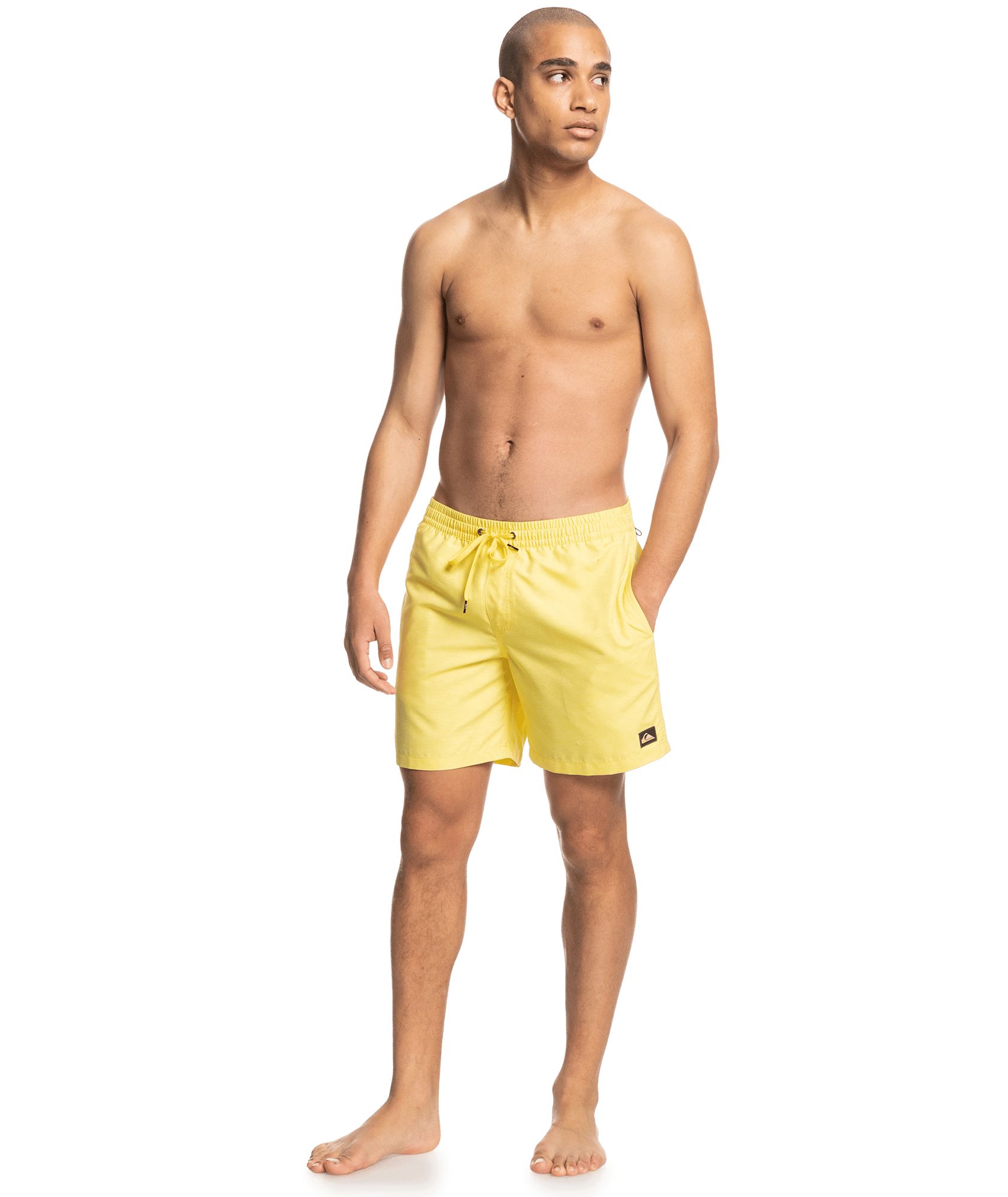 Quiksilver Men's Everyday 17” Volley Shorts