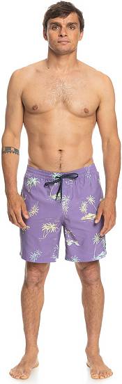 Quiksilver Men's Everyday Mix 17” Volley Swim Trunks product image