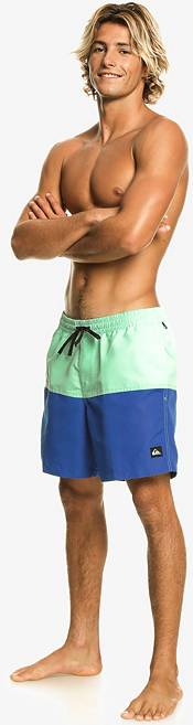 Quiksilver Men's Butt Logo Volley 17NB Boardshorts product image