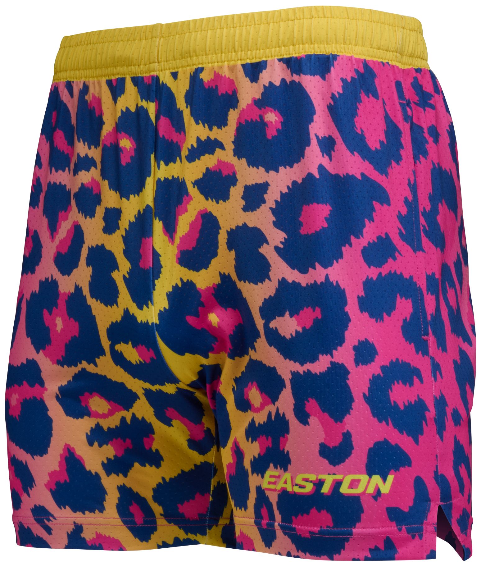 Easton Spring Break Shorts product image