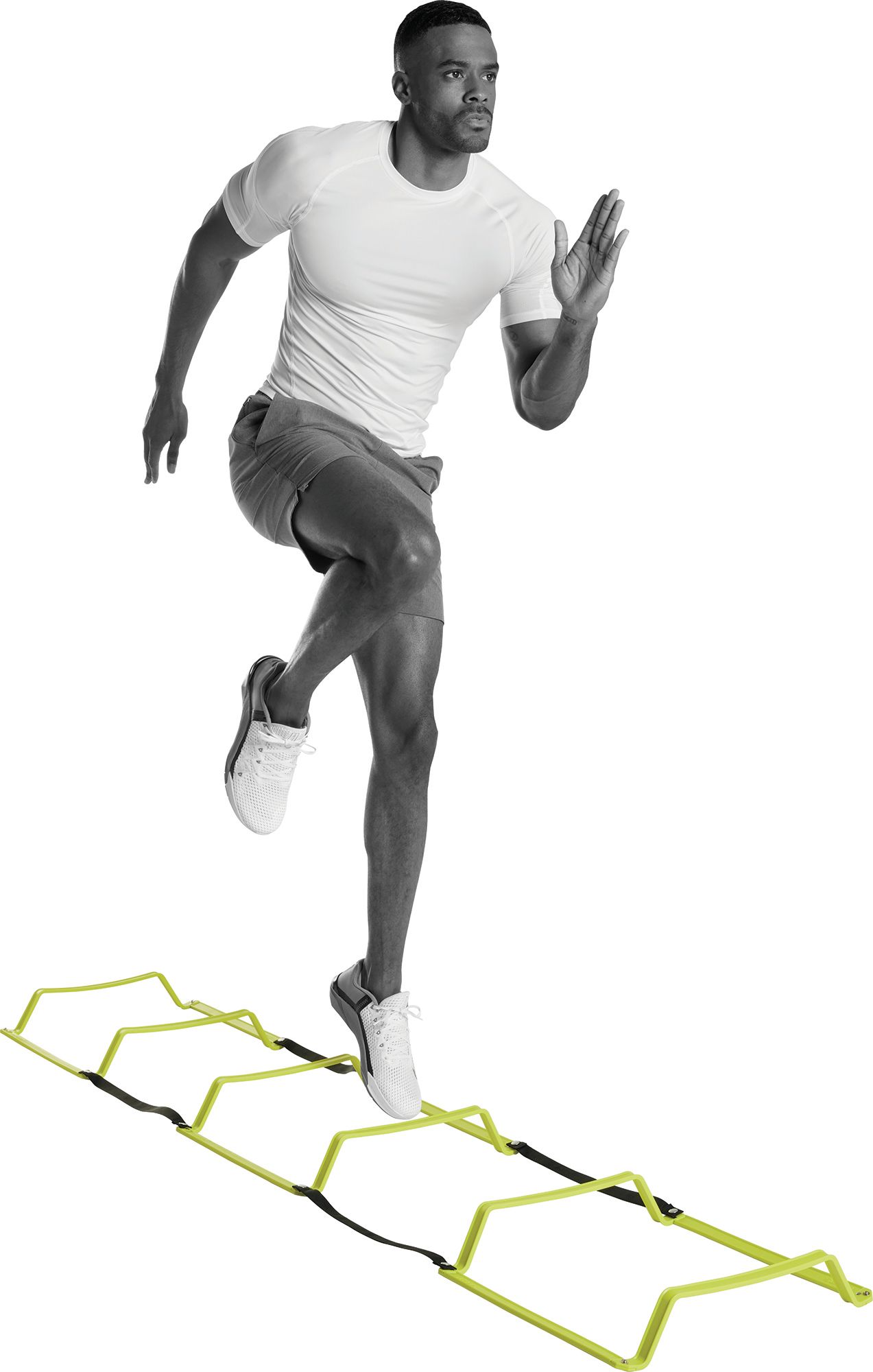 ETHOS Elevation Ladder product image