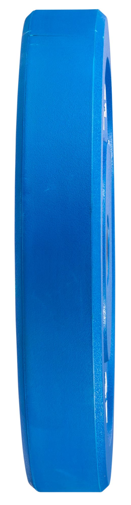 ETHOS Olympic Color Rubber Bumper Plate – Single product image