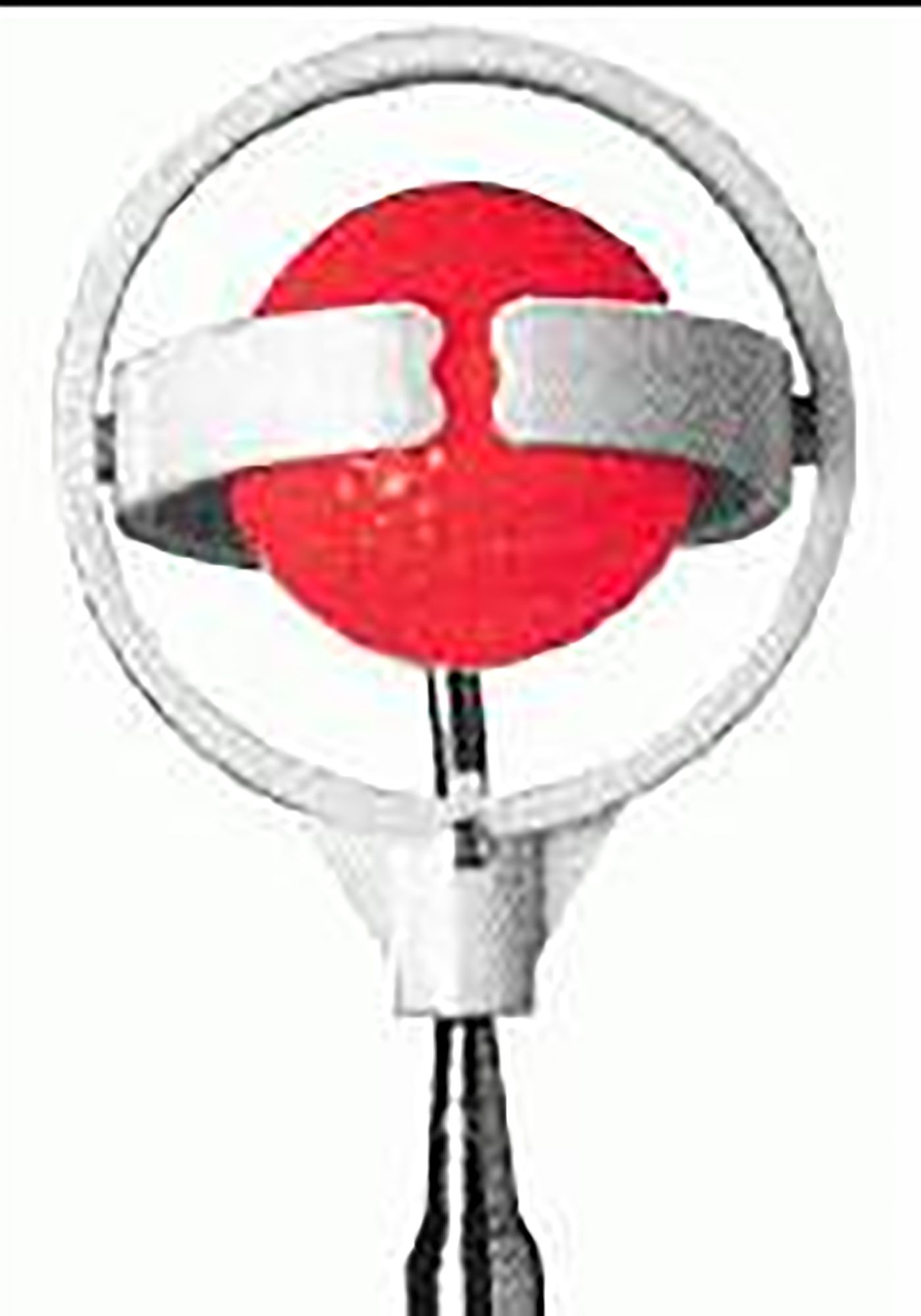 Pro Line Sports 6.5' Pocket IGOTCHA Ball Retriever product image