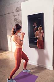 Echelon Reflect Touch Mirror product image
