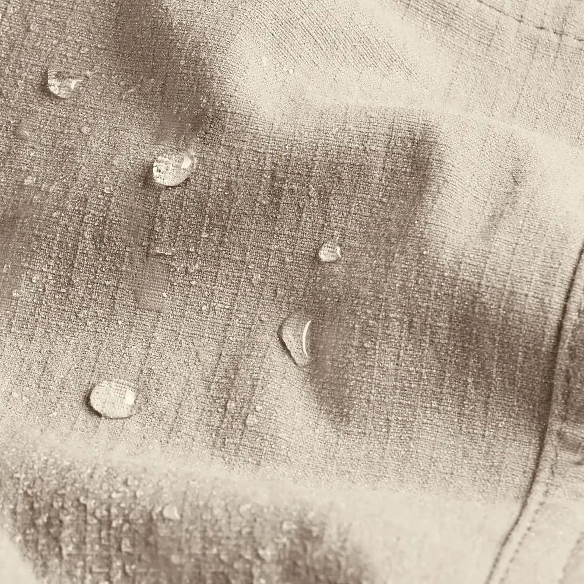 Free Fly Women's Topogrid Pant product image