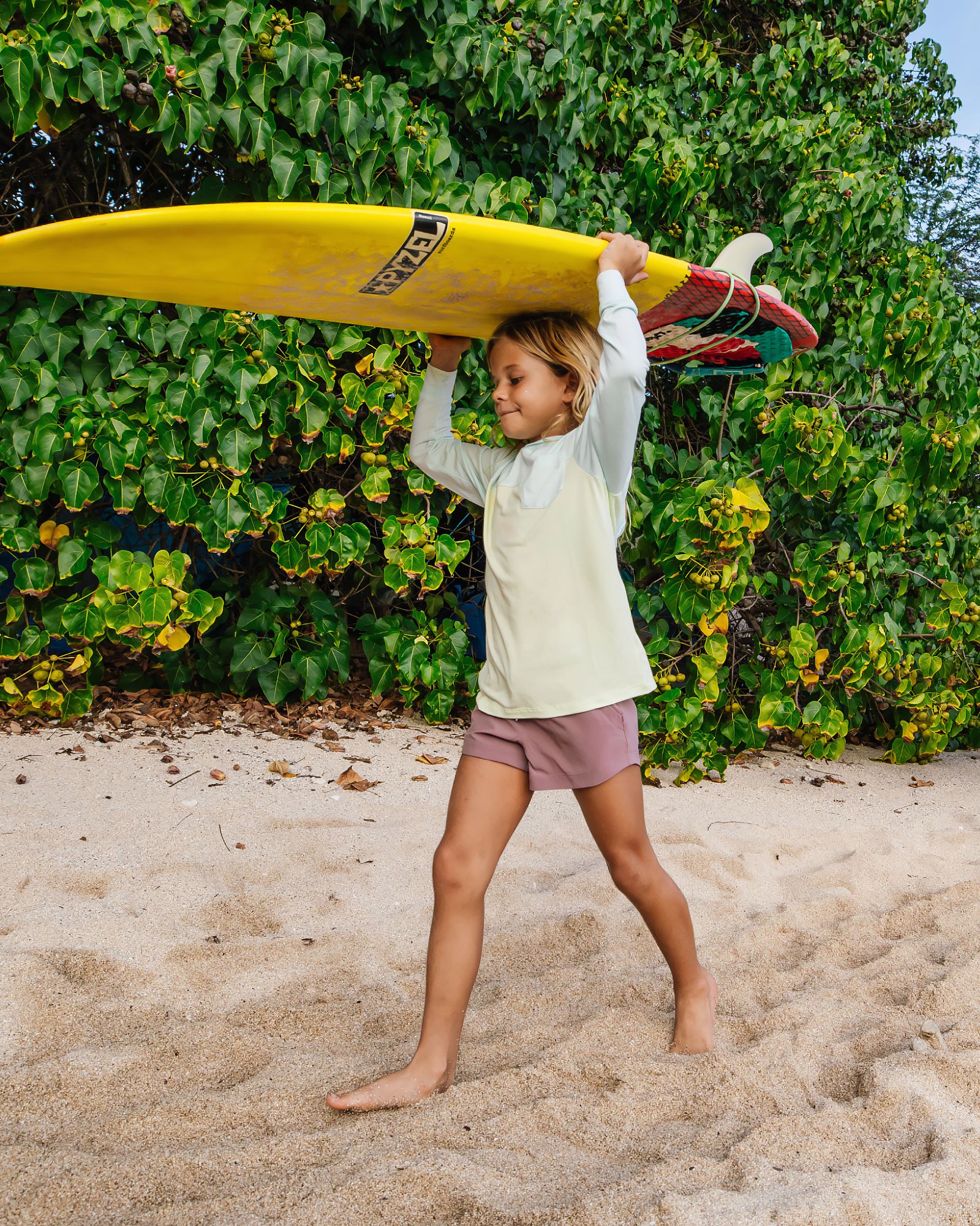 Free Fly Youth Colorblock Bamboo Shade Hoodie product image