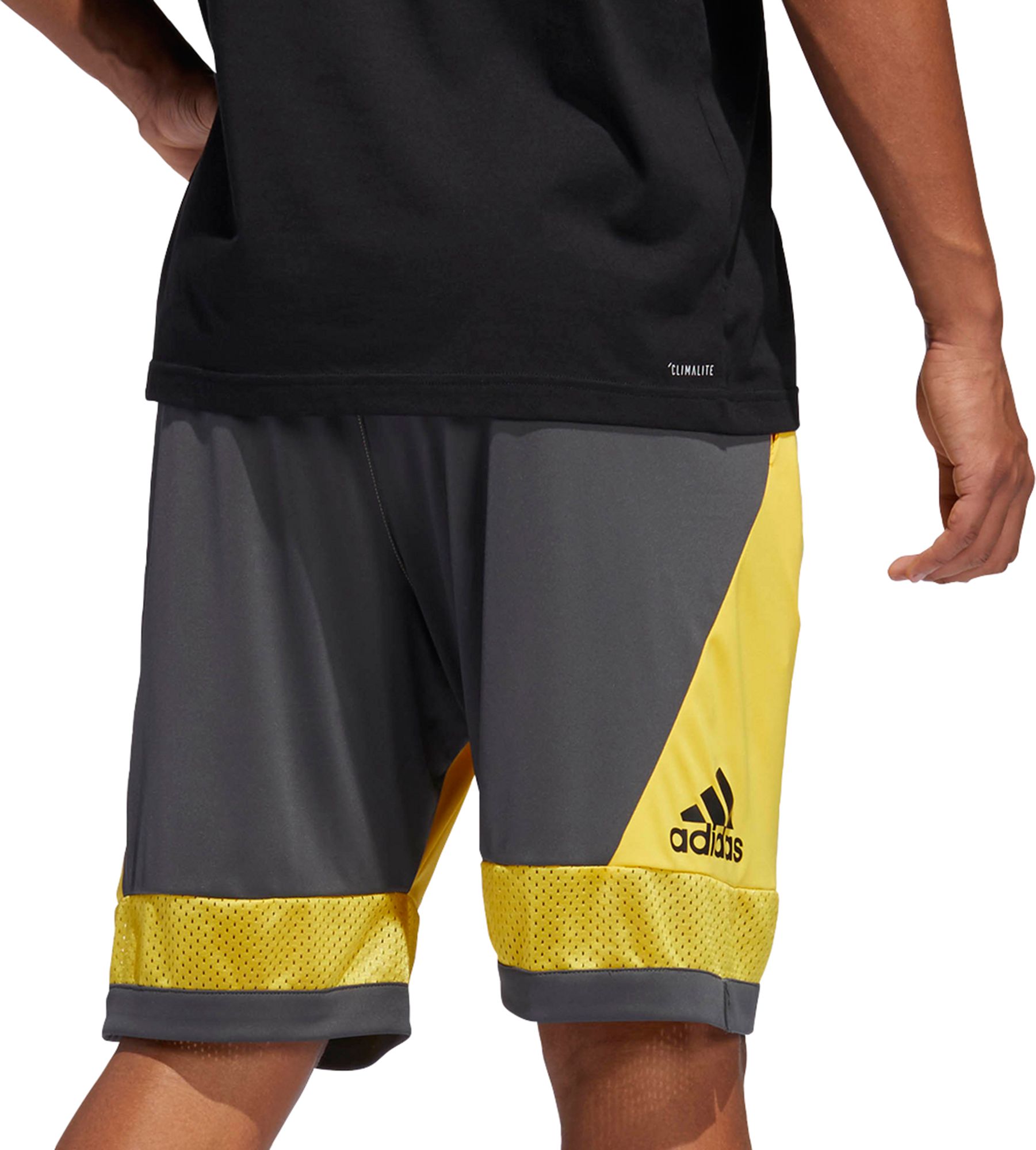 adidas Men's Pro Bounce Basketball Shorts Dick's Sporting Goods