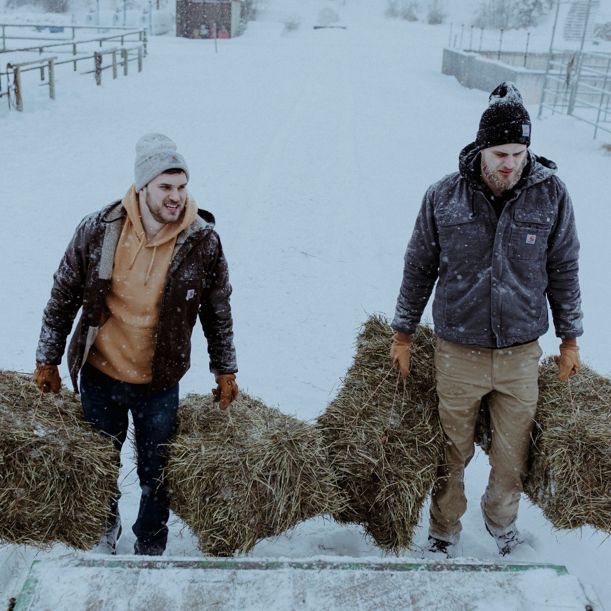 Carhartt Acrylic Watch Hat product image