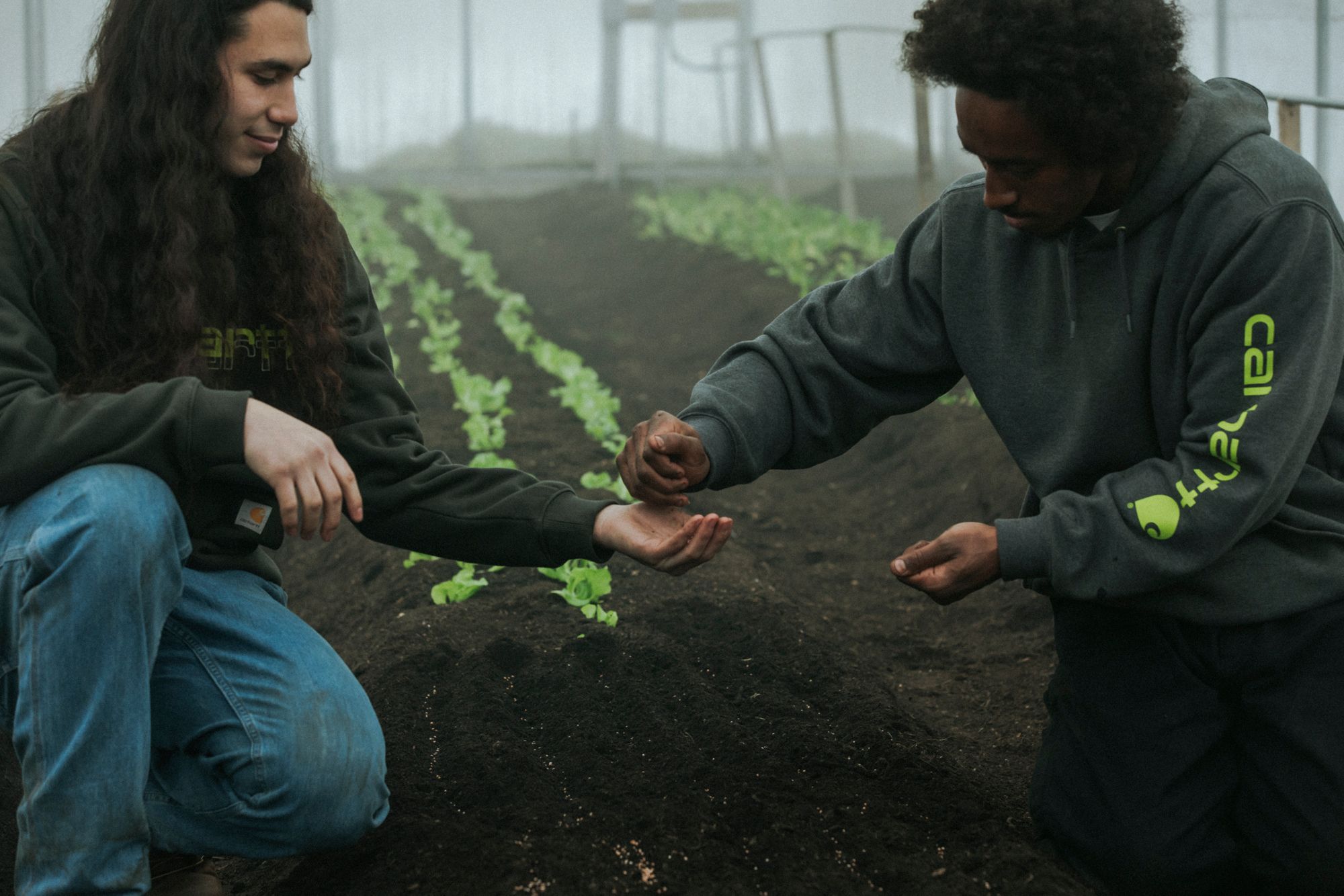 Carhartt Men's K288 Hoodie product image