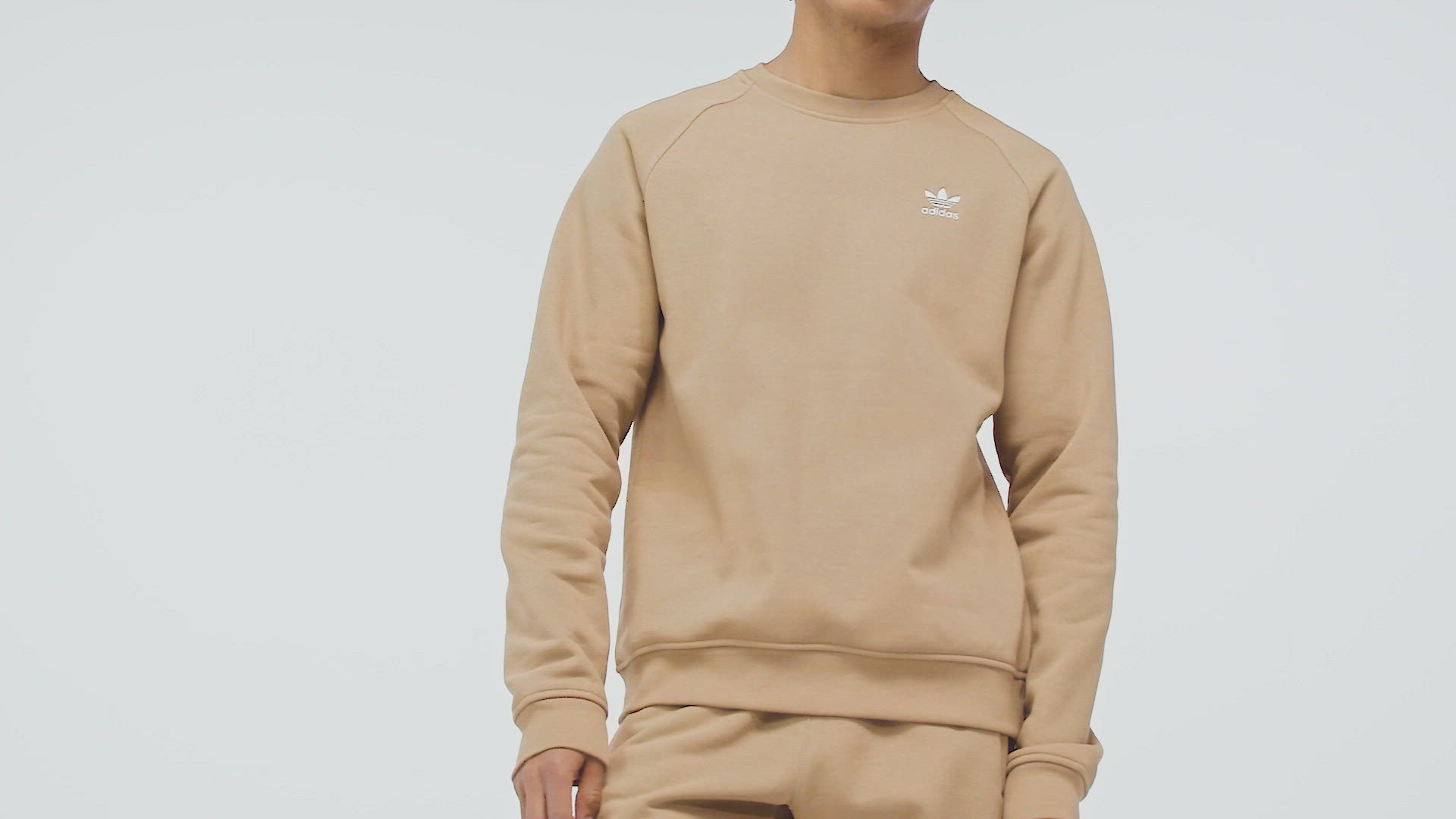 adidas Originals Men's Adicolor Essentials Trefoil Crewneck Sweatshirt product