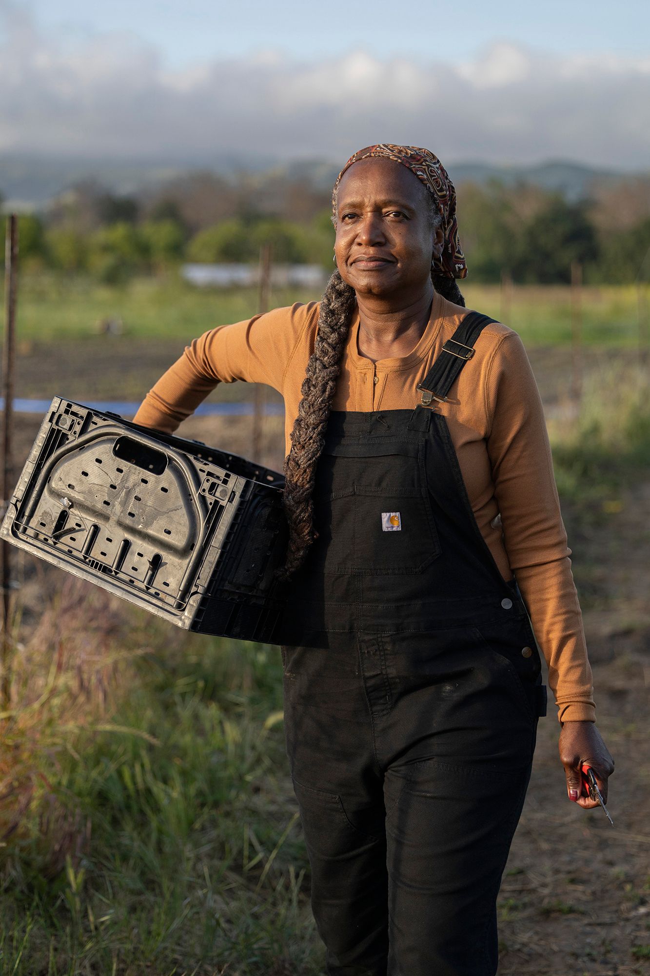 Carhartt Women's TENCEL™ Fiber Relaxed Fit Ribbed Henley Shirt product image