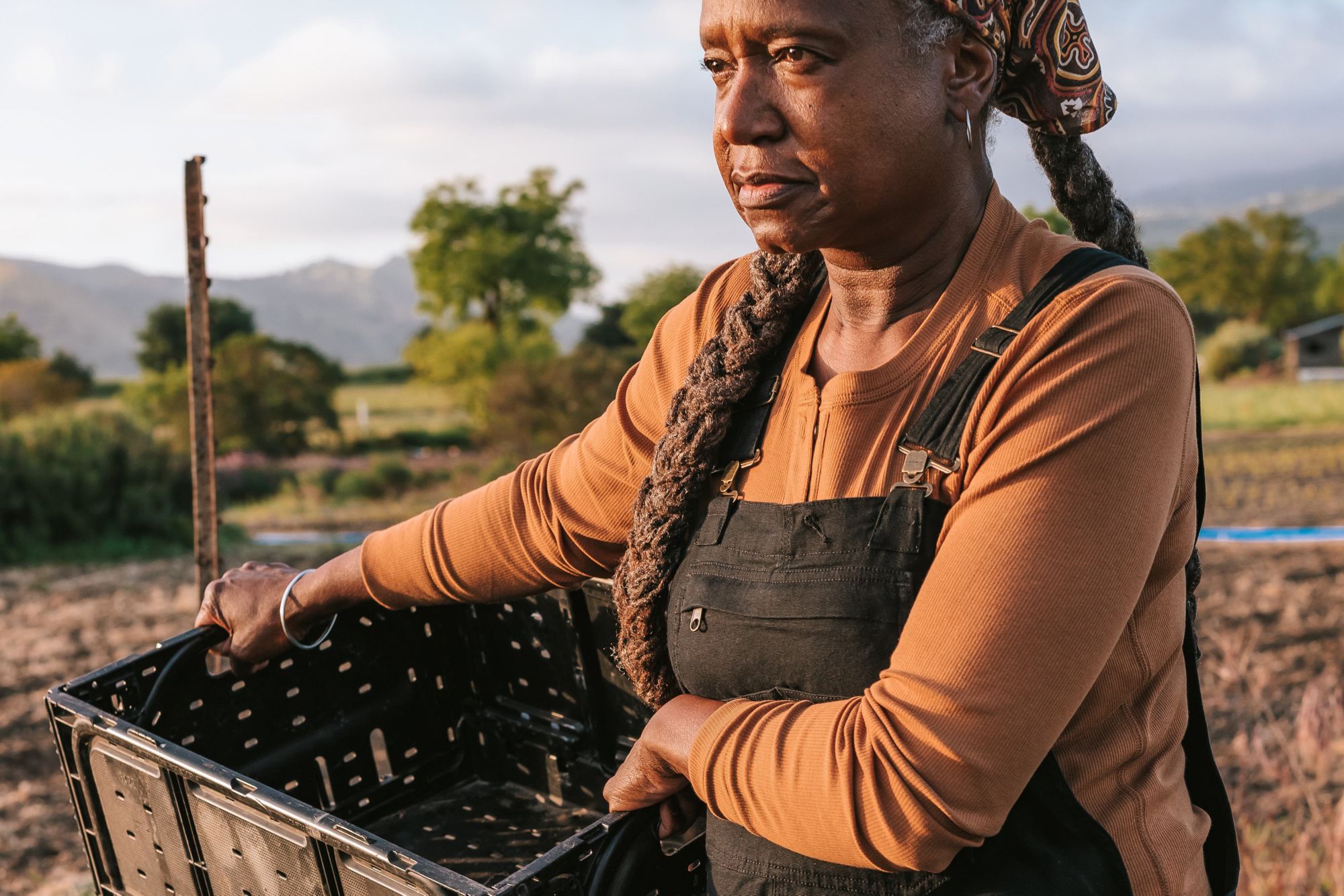 Carhartt Women's TENCEL™ Fiber Relaxed Fit Ribbed Henley Shirt product image